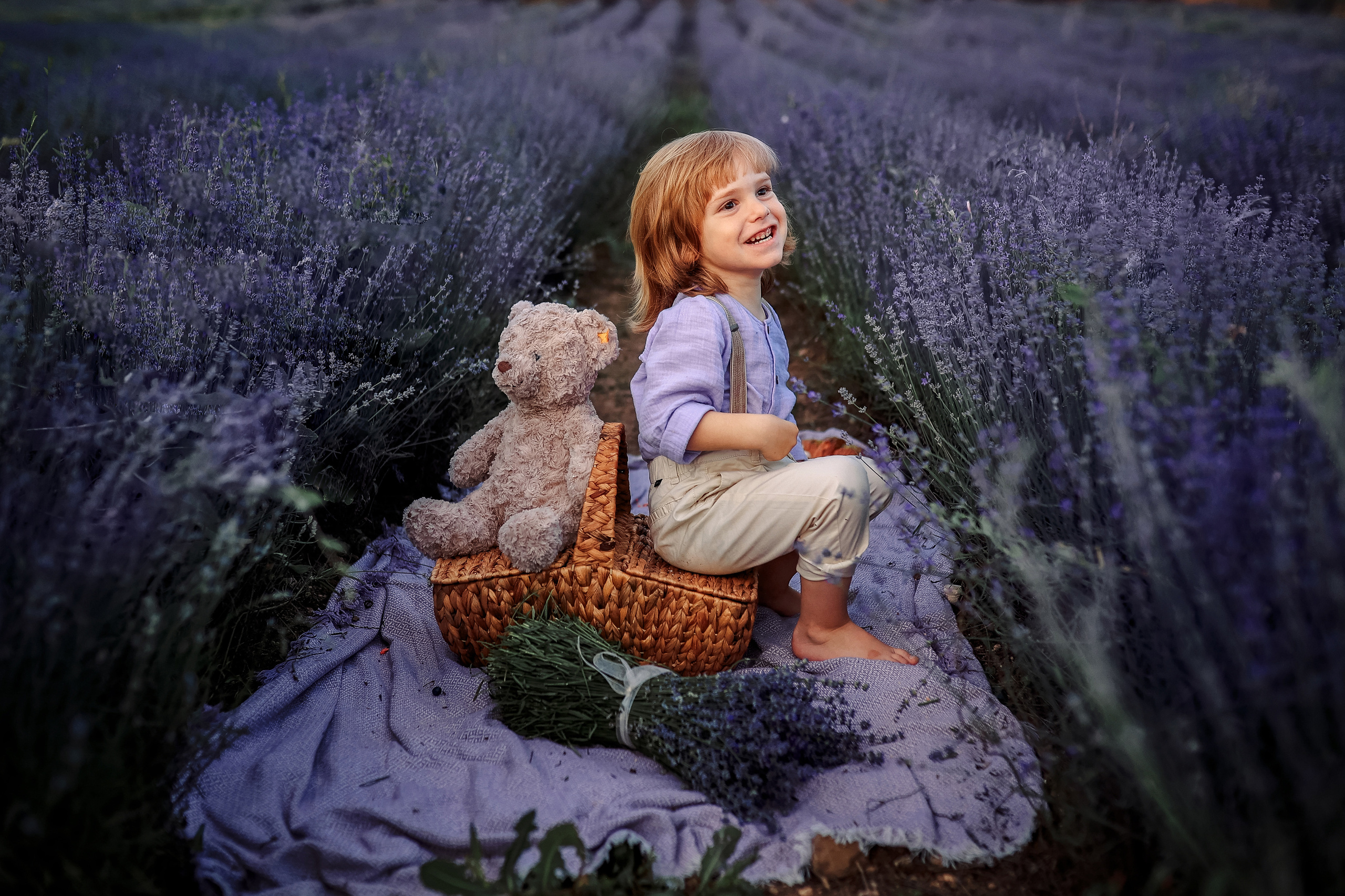 Lavender in Antalya. Photographer in Turkey, Antalya, Kemer, Belek, Side, Kas, Fethiye