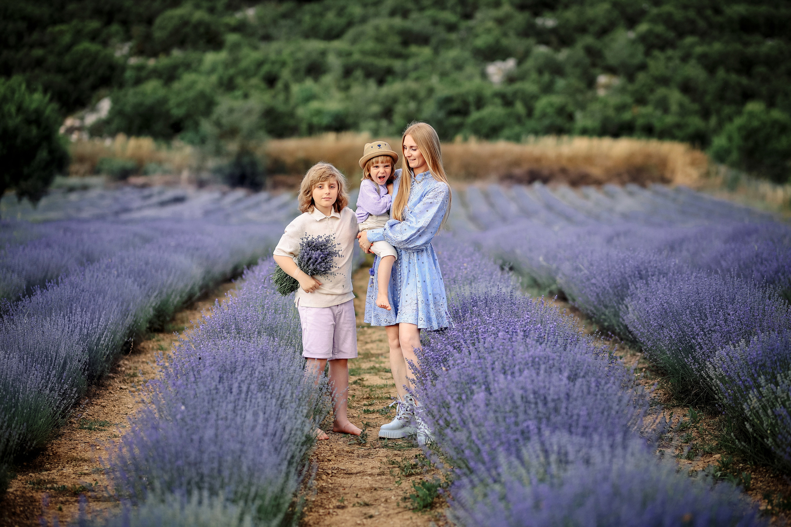 Lavender in Antalya. Photographer in Turkey, Antalya, Kemer, Belek, Side, Kas, Fethiye