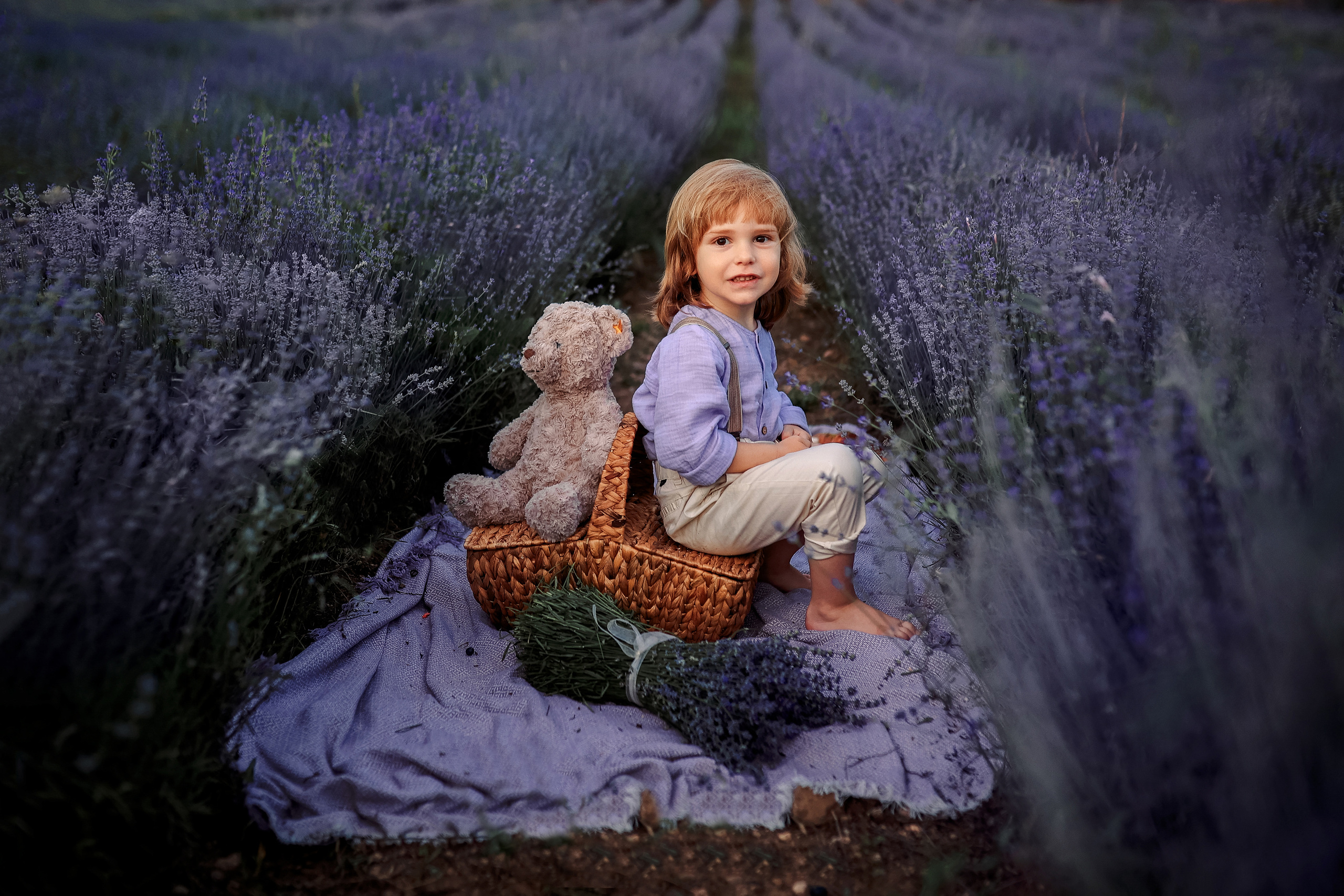 Lavender in Antalya. Photographer in Turkey, Antalya, Kemer, Belek, Side, Kas, Fethiye
