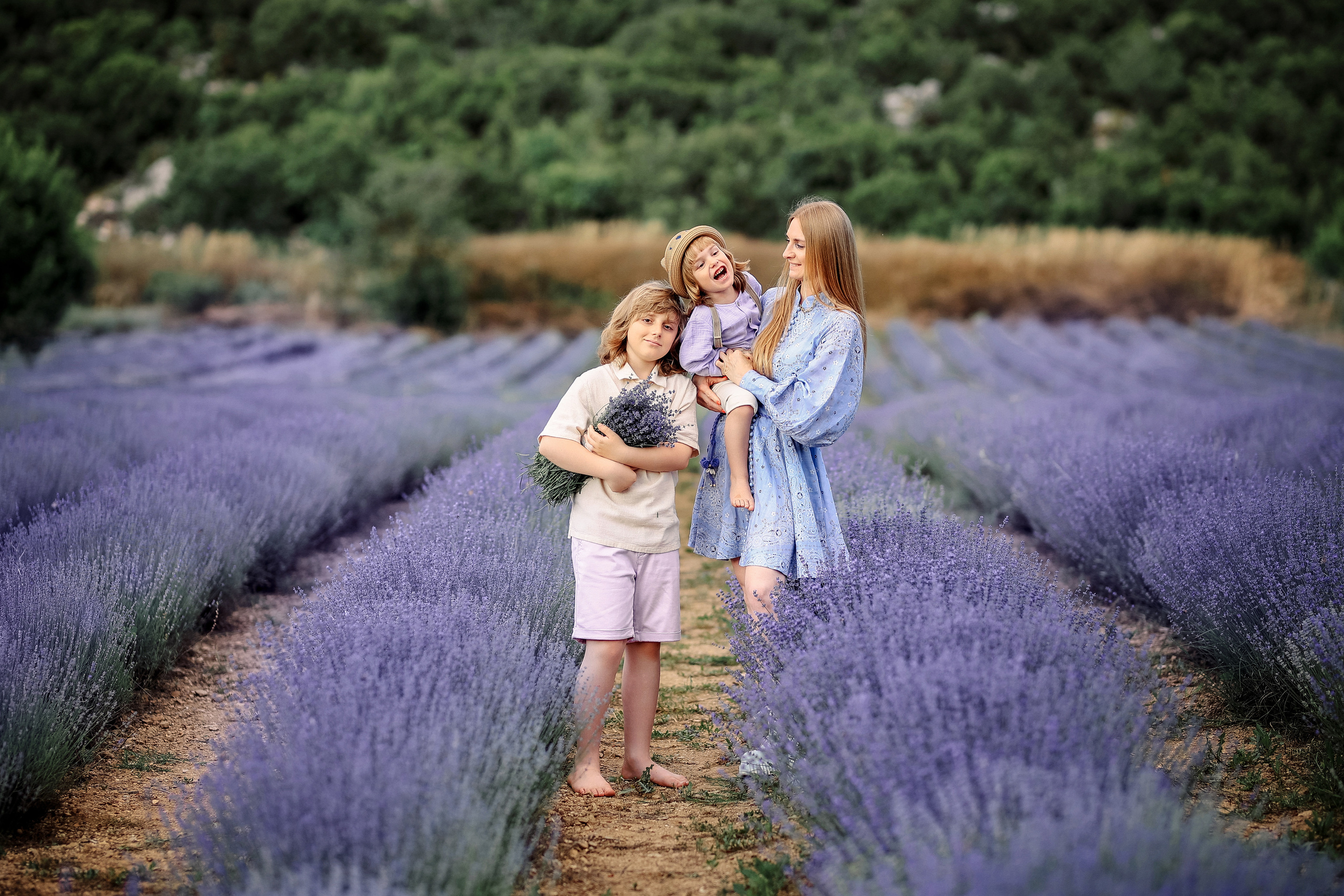 Lavender in Antalya. Photographer in Turkey, Antalya, Kemer, Belek, Side, Kas, Fethiye