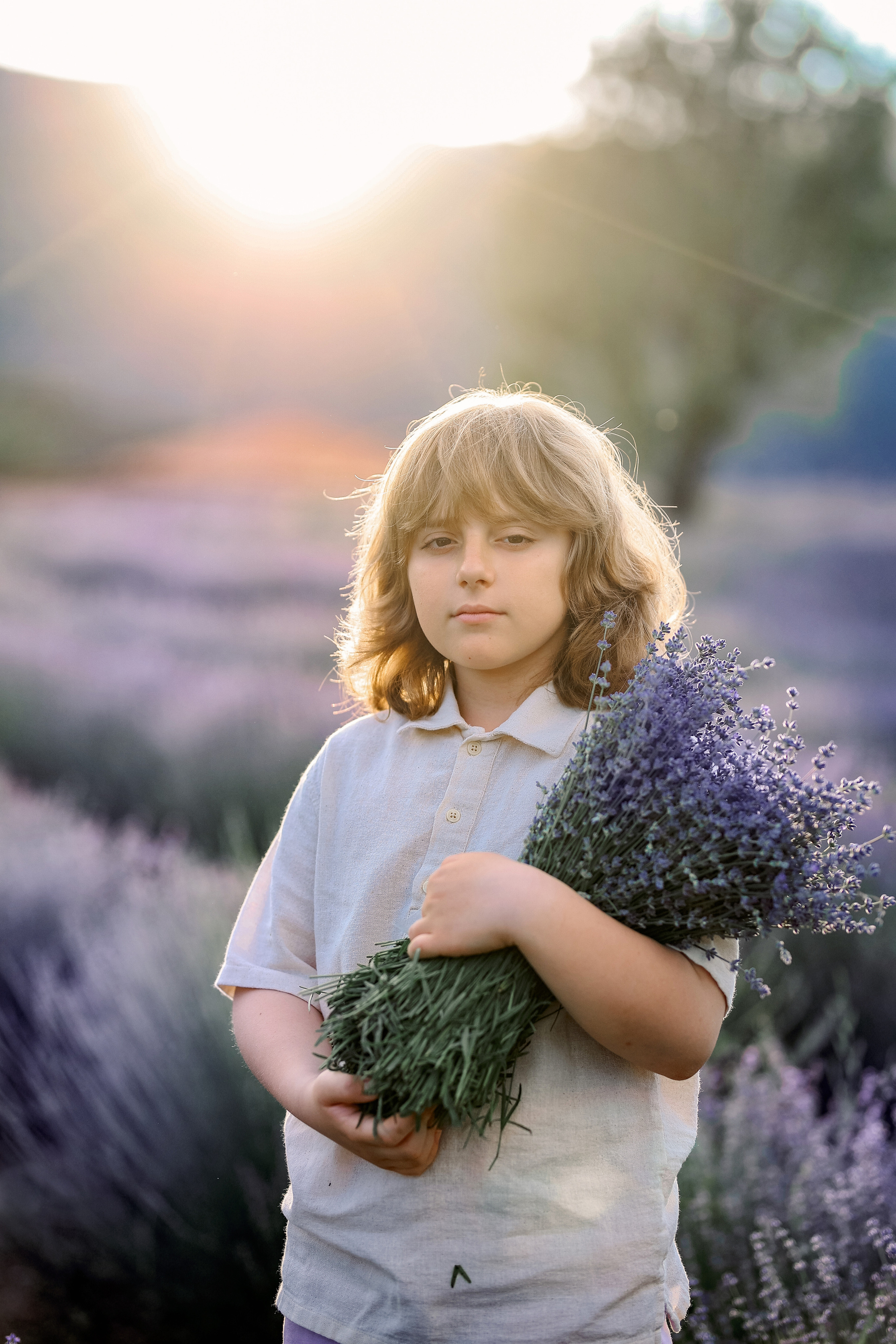 Lavender in Antalya. Photographer in Turkey, Antalya, Kemer, Belek, Side, Kas, Fethiye