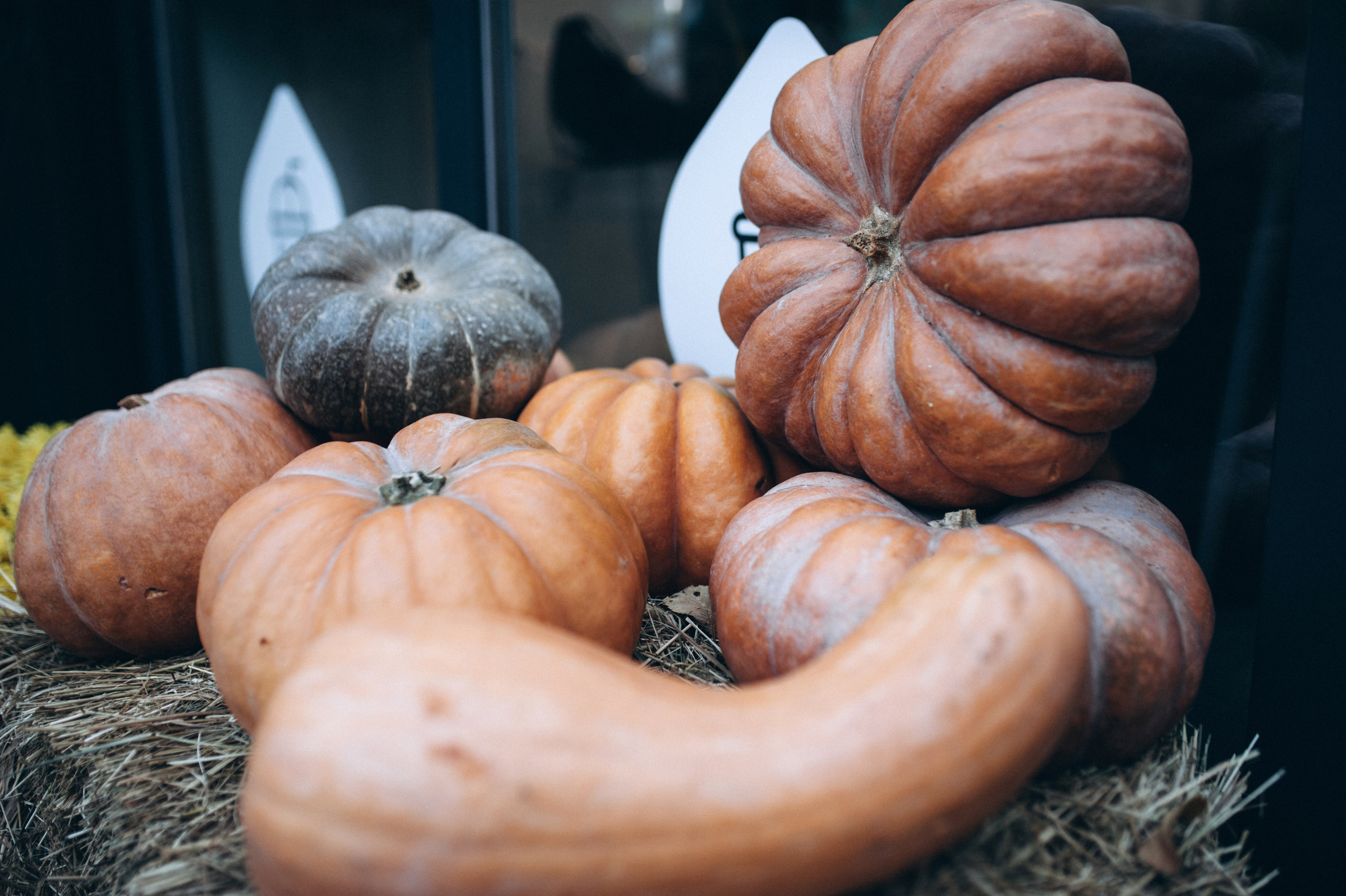 Anna & Serhii. Familien- und Hochzeitsfotografin. Ich arbeite in Koblenz und Rheinlan