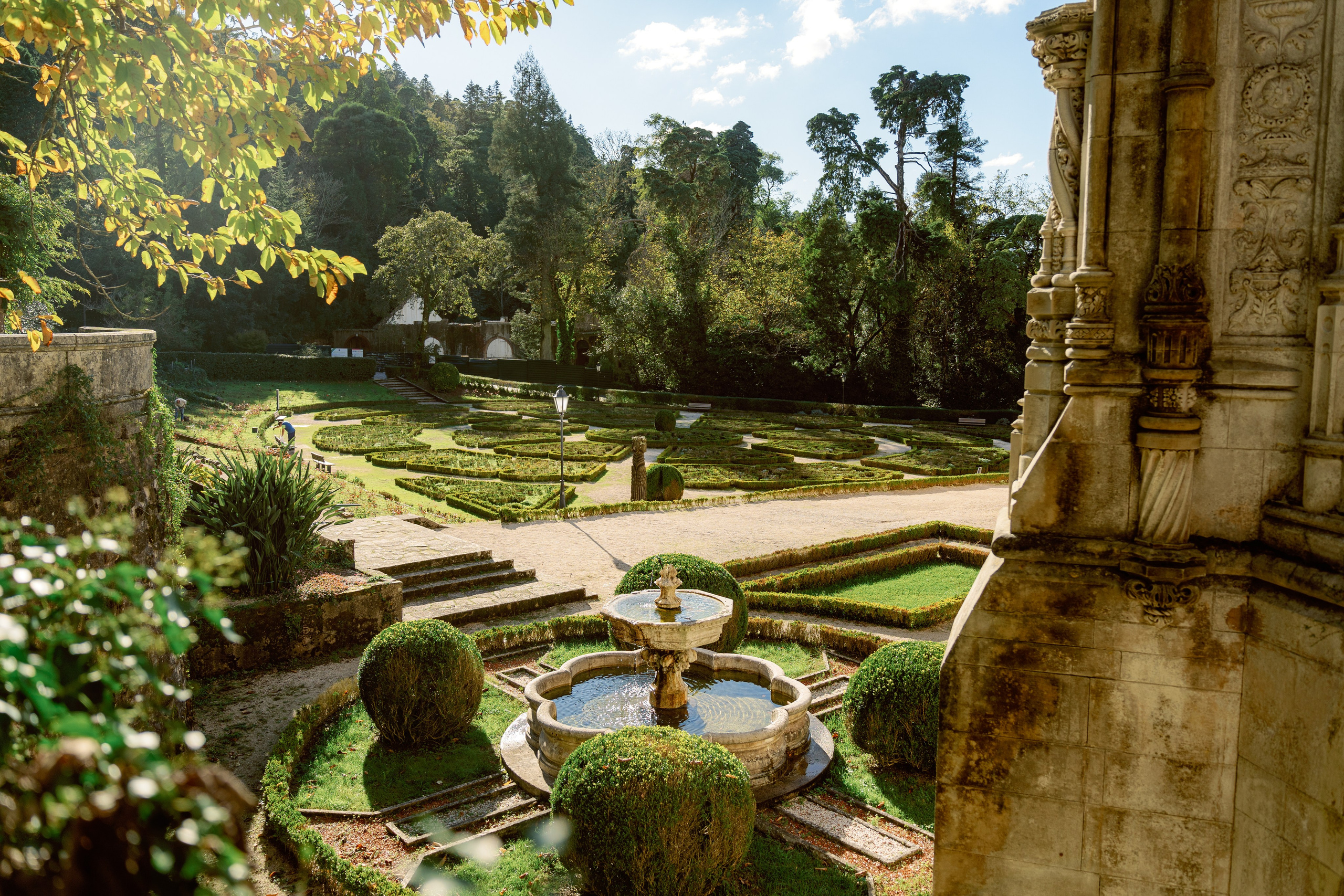 Бусаку — скрытая жемчужина Байррады