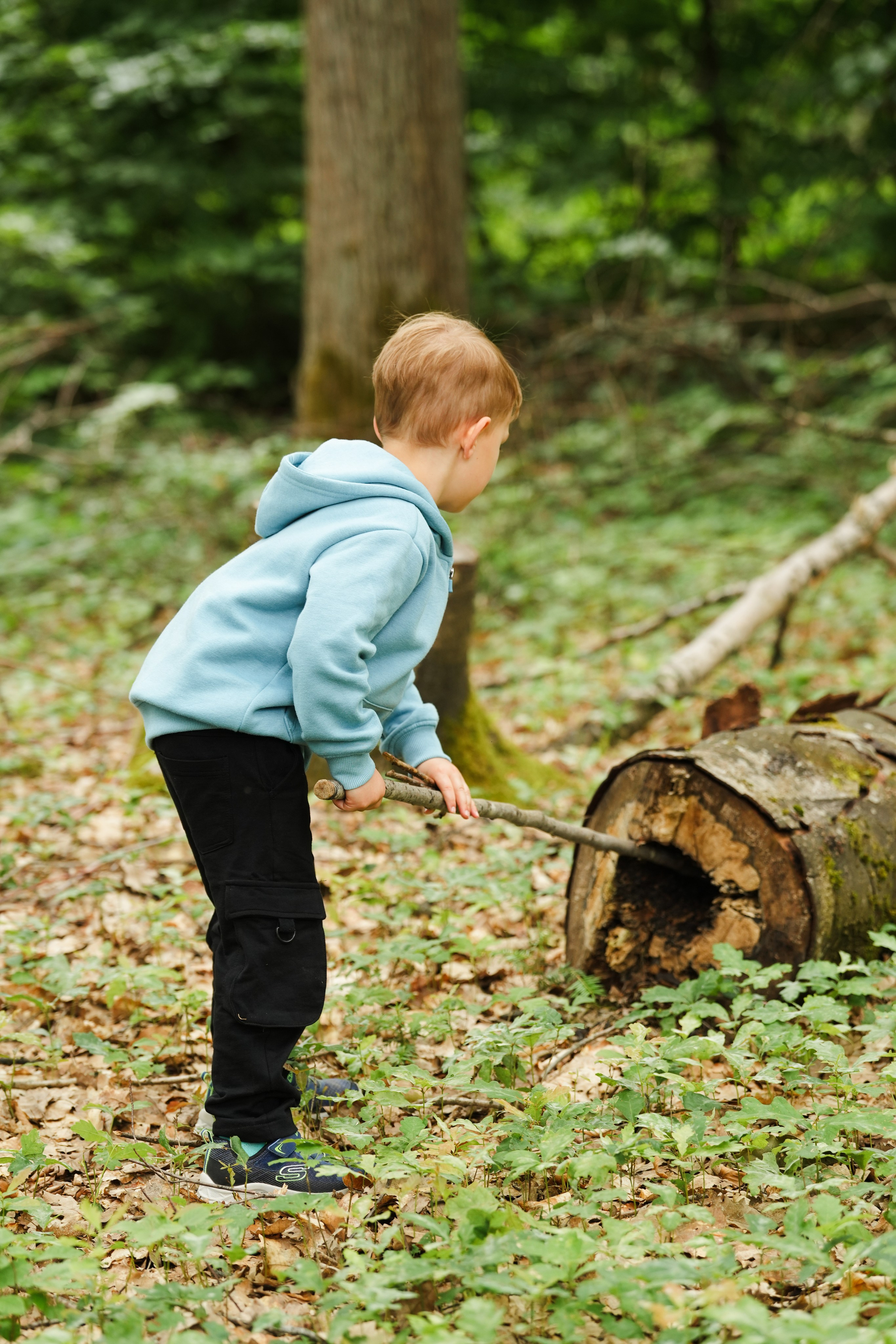 Waldkindergarten. Www.alberti-fotograf.de