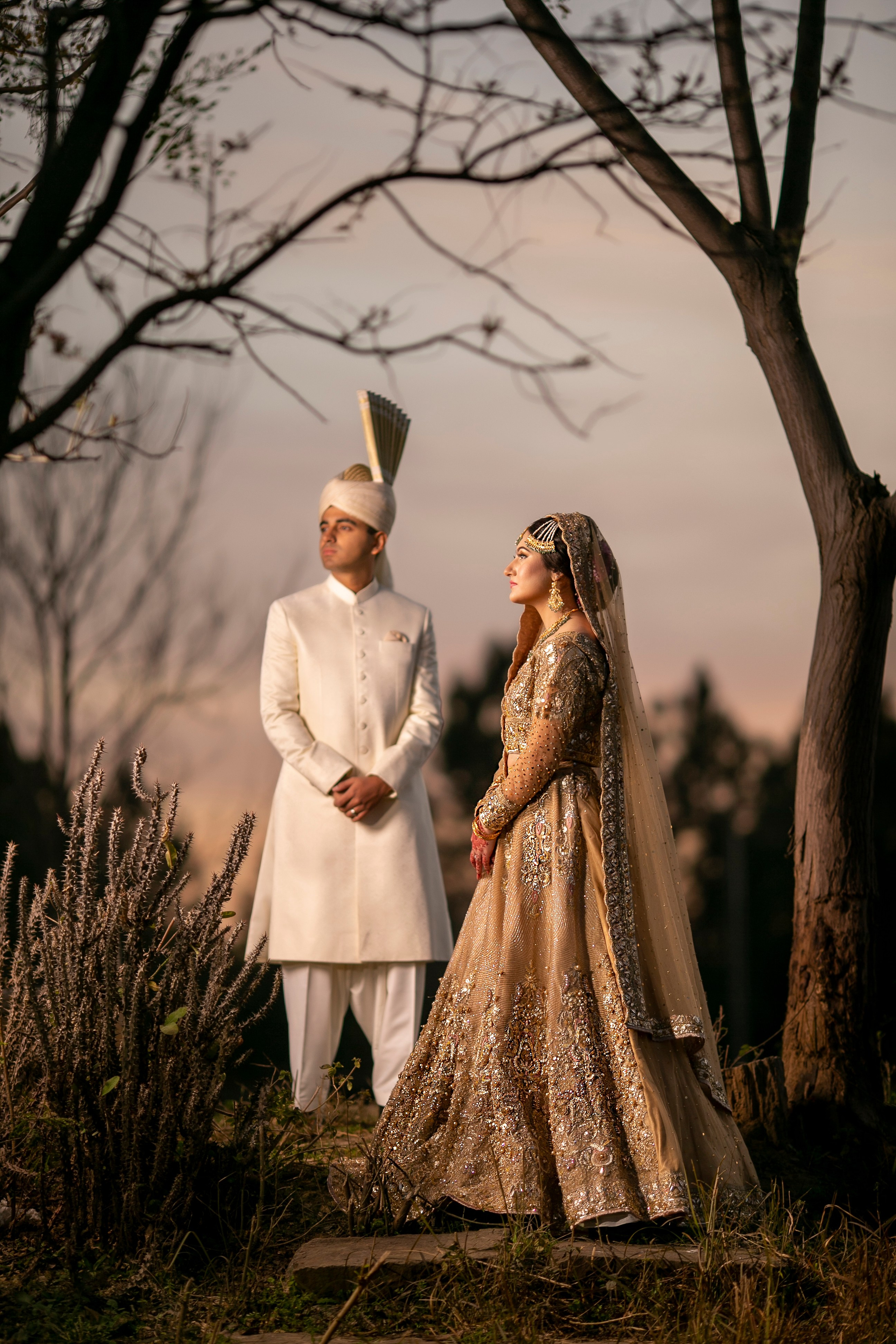 Portfolio. Chaar Bhai — Your Personal Family Historians