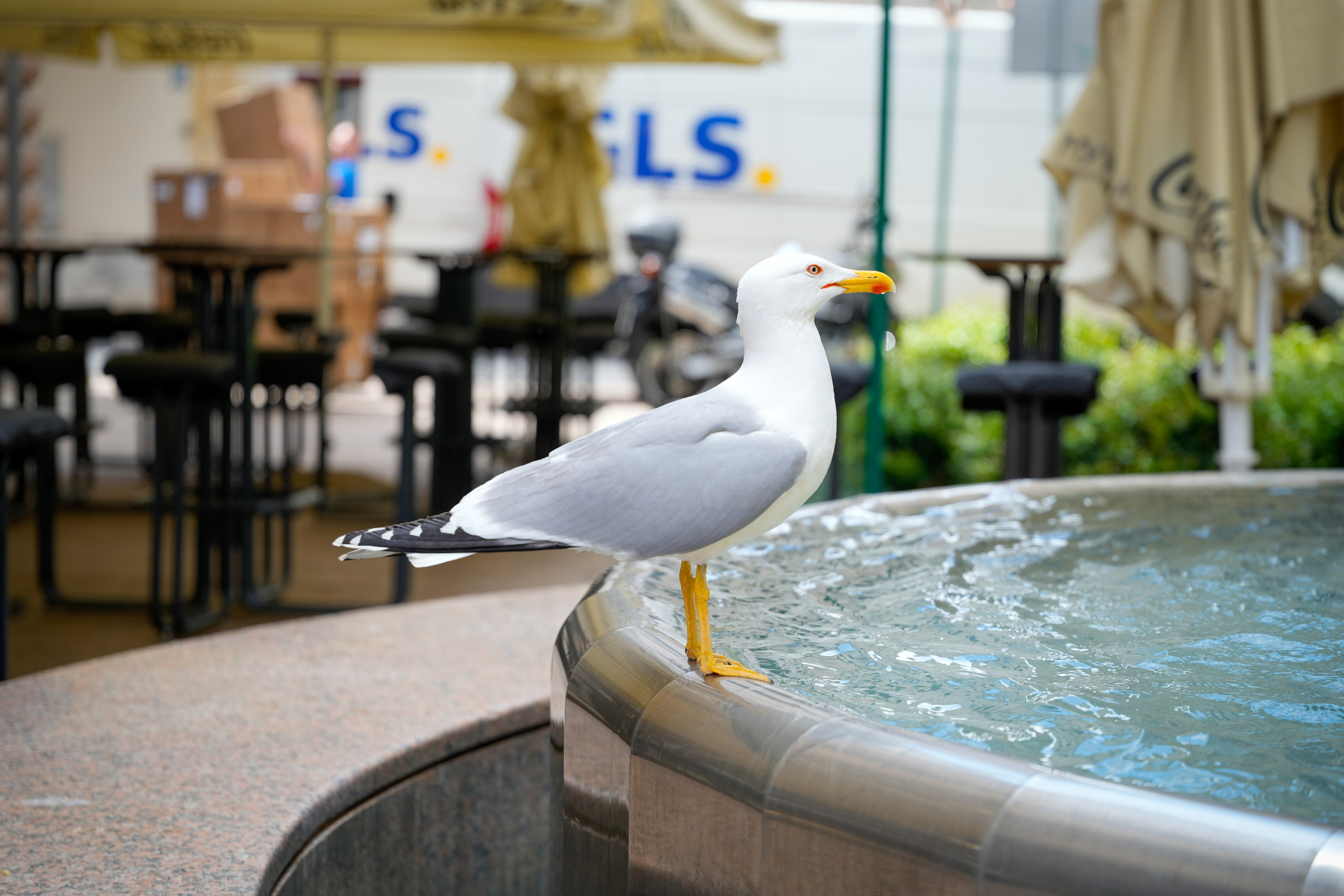 Bank Jerusalem — Team Retreat