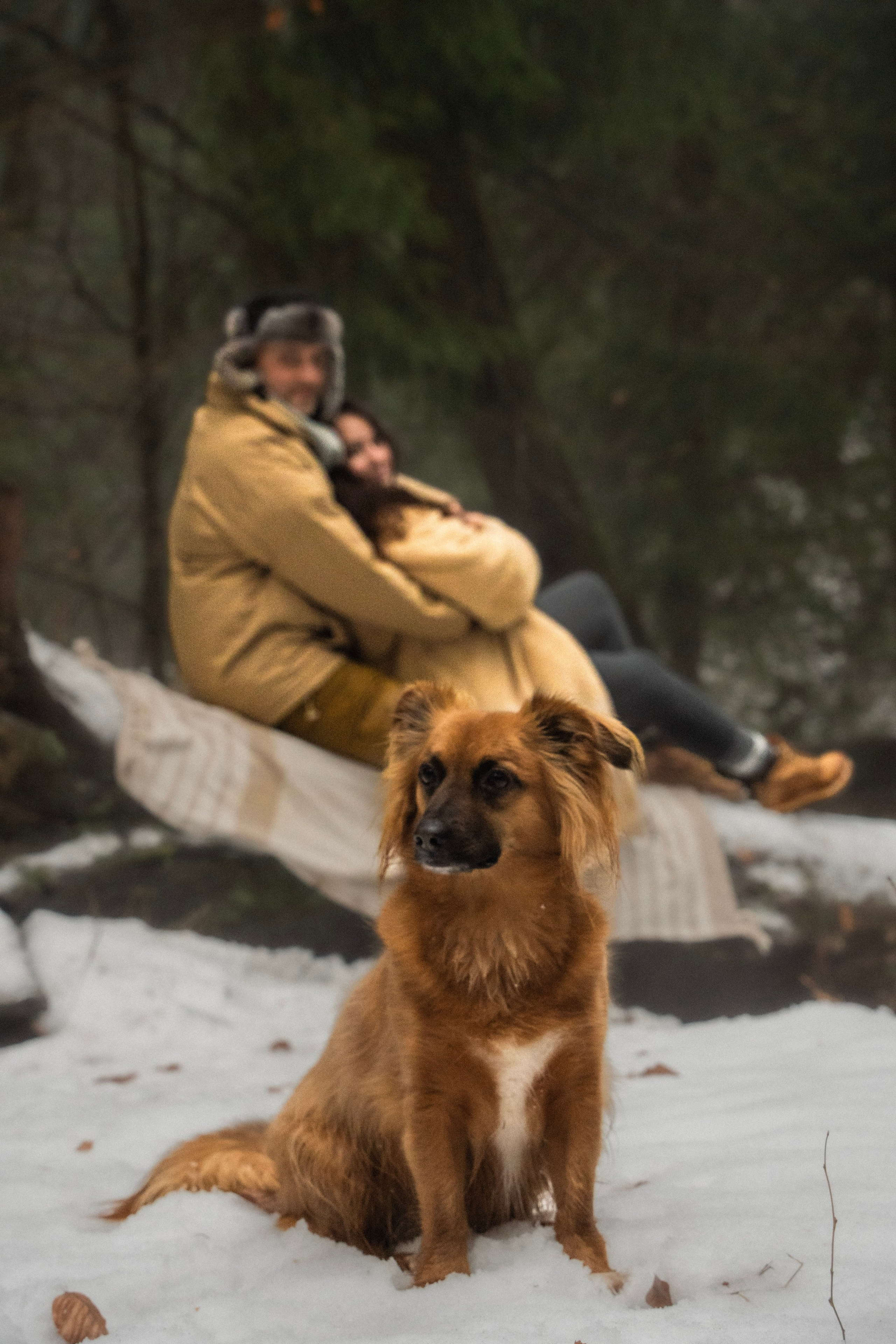 Irina and Oleg. Everwarm Photo and Video Studio
