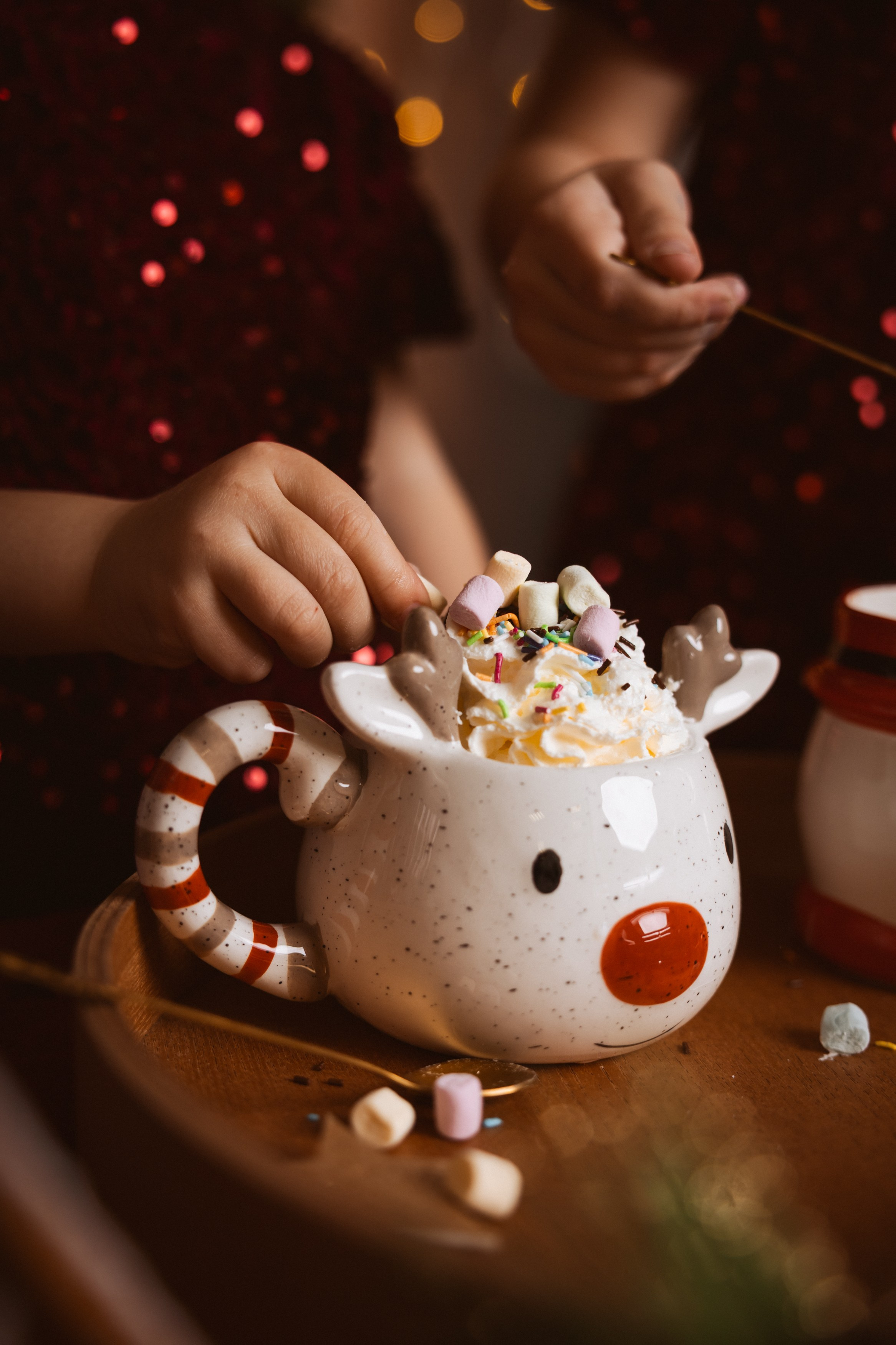 Vánoční focení 2025. Lifestyle and Family Photographer in Pisek Oxana Telupilova