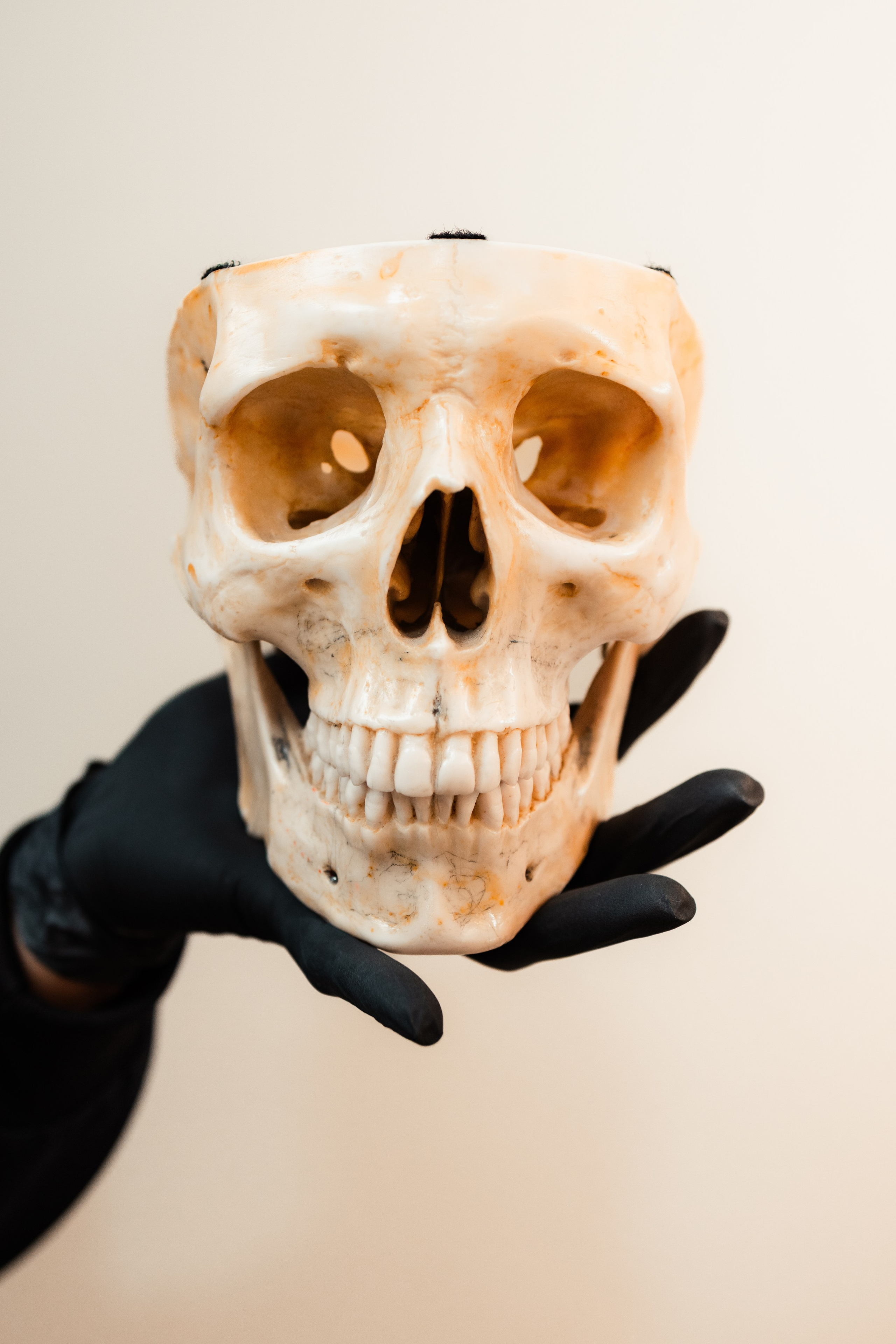 Corporativo. Pedro Rezende | Memórias Atemporais