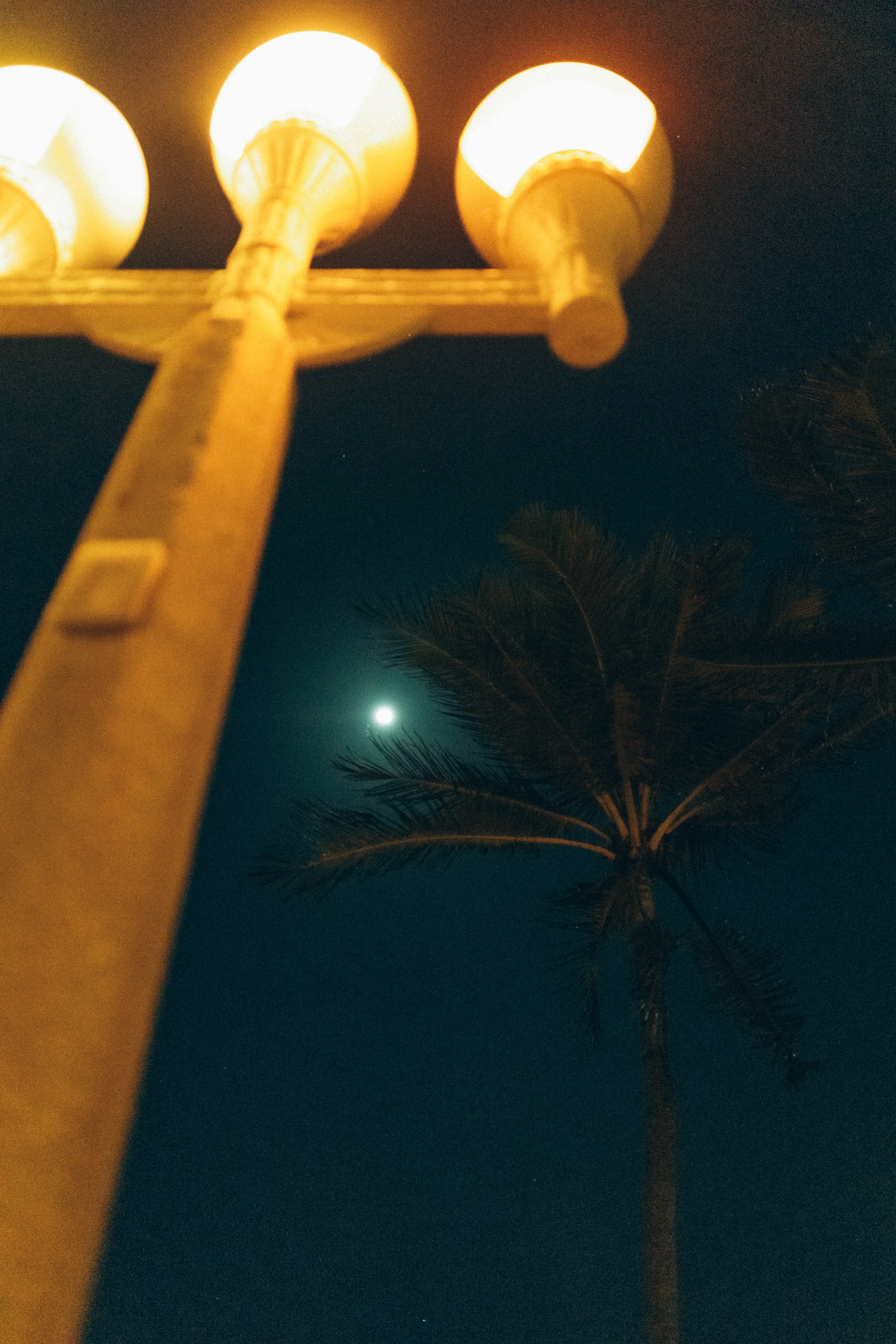 STREET. TETIANA UDOVYCHENKO PORTRAIT PHOTOGRAPHER