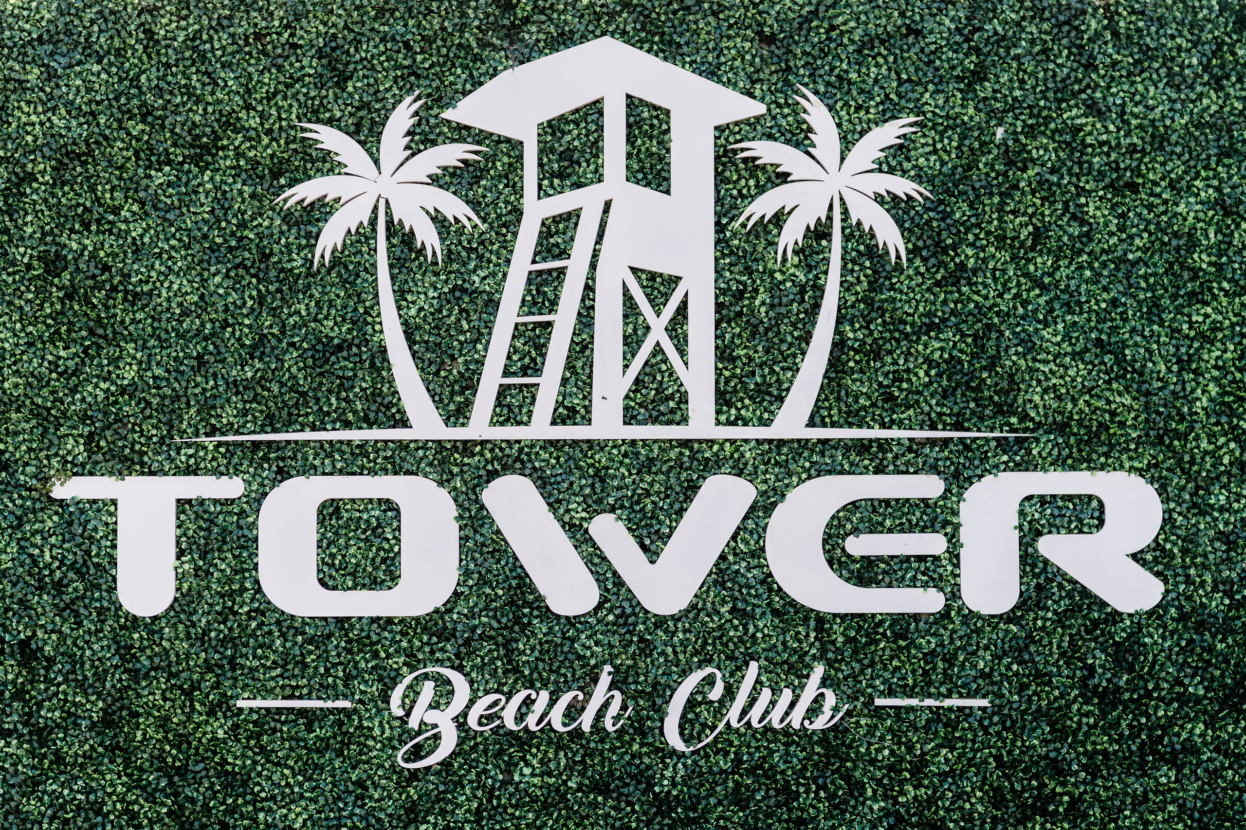 Jaime & Trynne Wedding. Pixel Pie — Wedding Photography & Videography