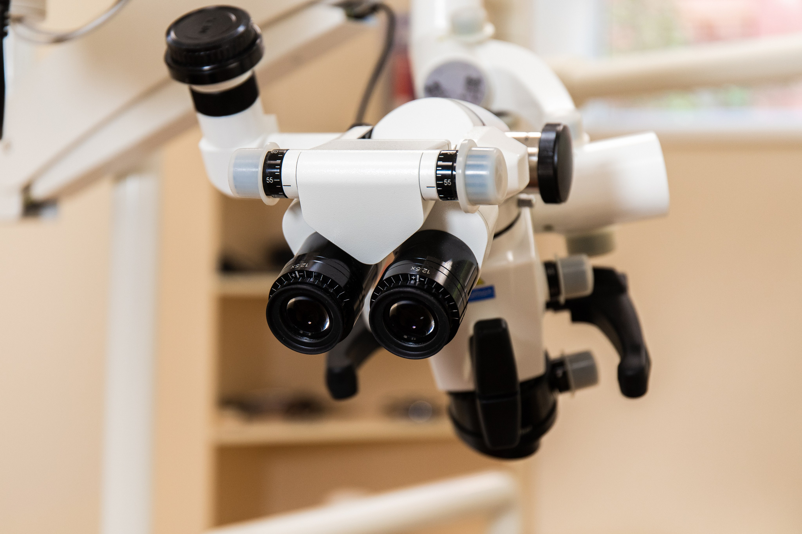 Business. Portrait and family photographer in Fort Collins Dania Gaisina