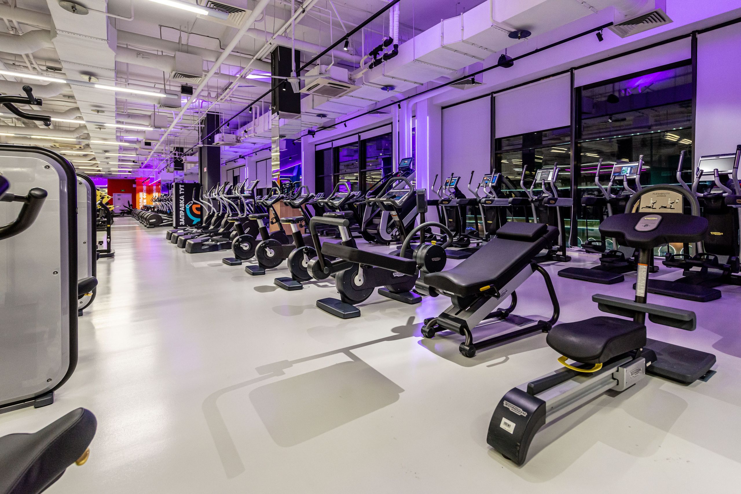 Фитнес-клуб DDX Fitness в Мытищи. ФОТОГРАФ МЕКСИКА КИНТАНА-РОО