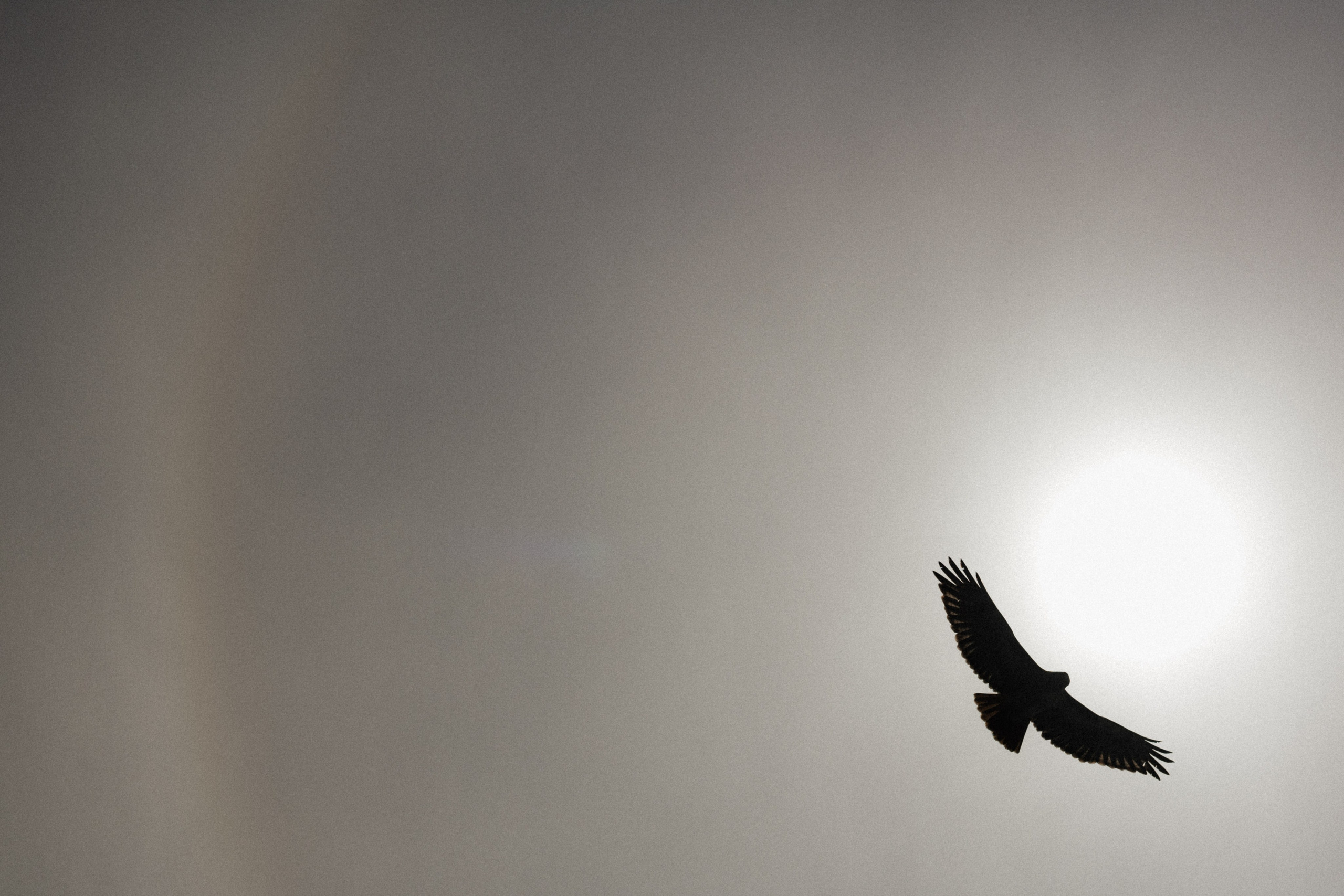 Los Angeles. Aleks.photo | Book a photoshoot