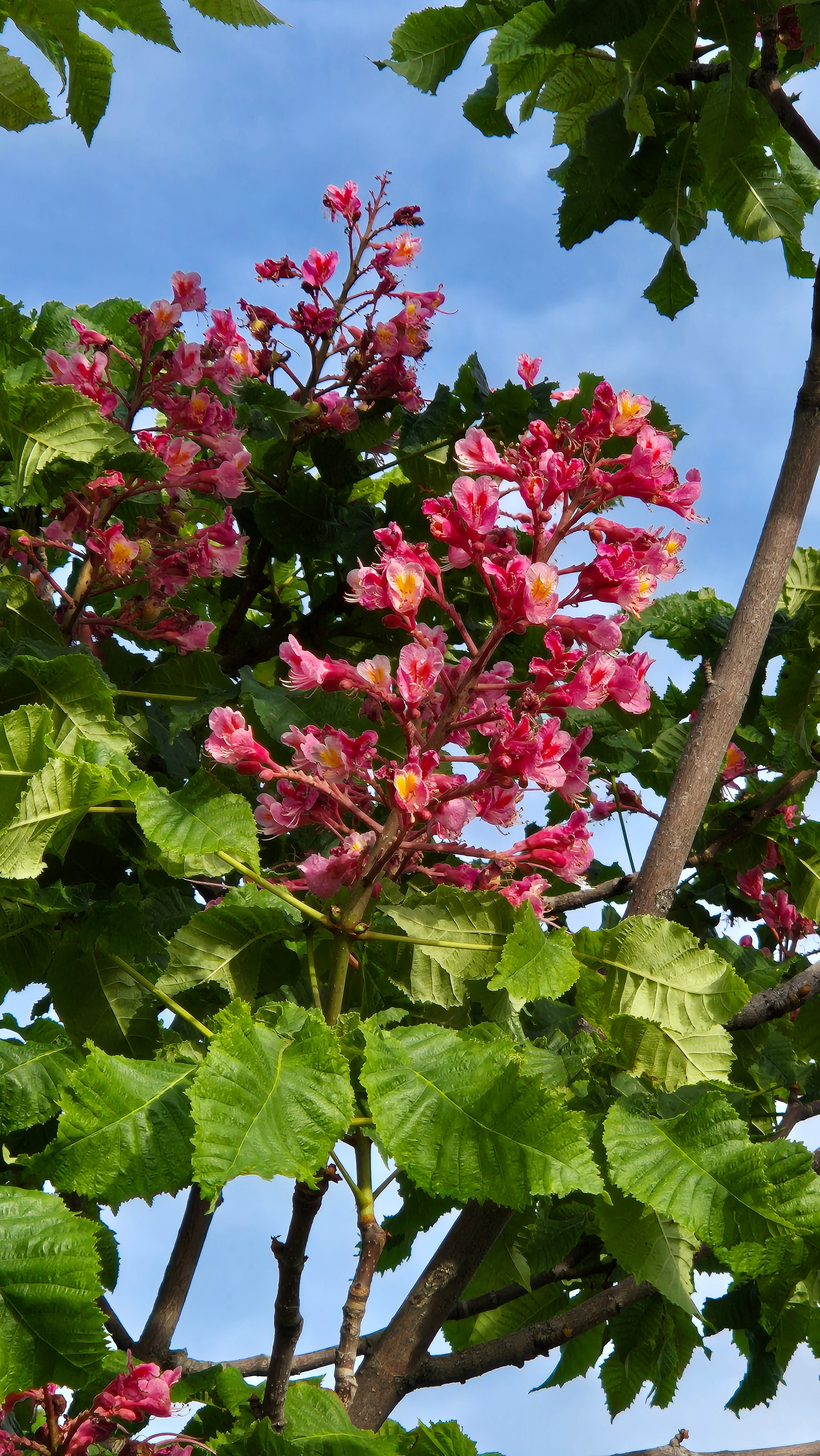 Uzbekistan 2024. Photographer Marina, city of Nuremberg