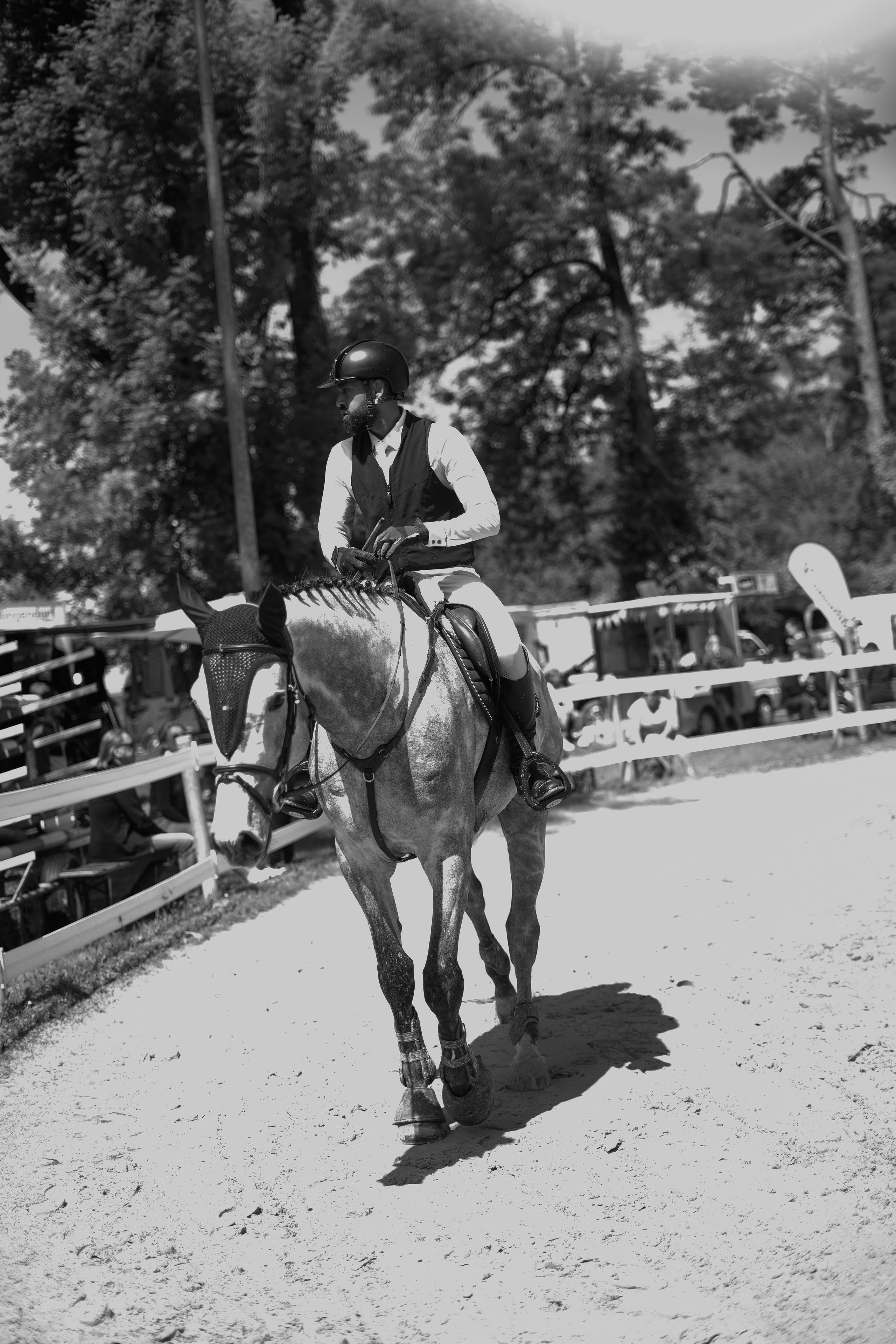 Equestrian Competition