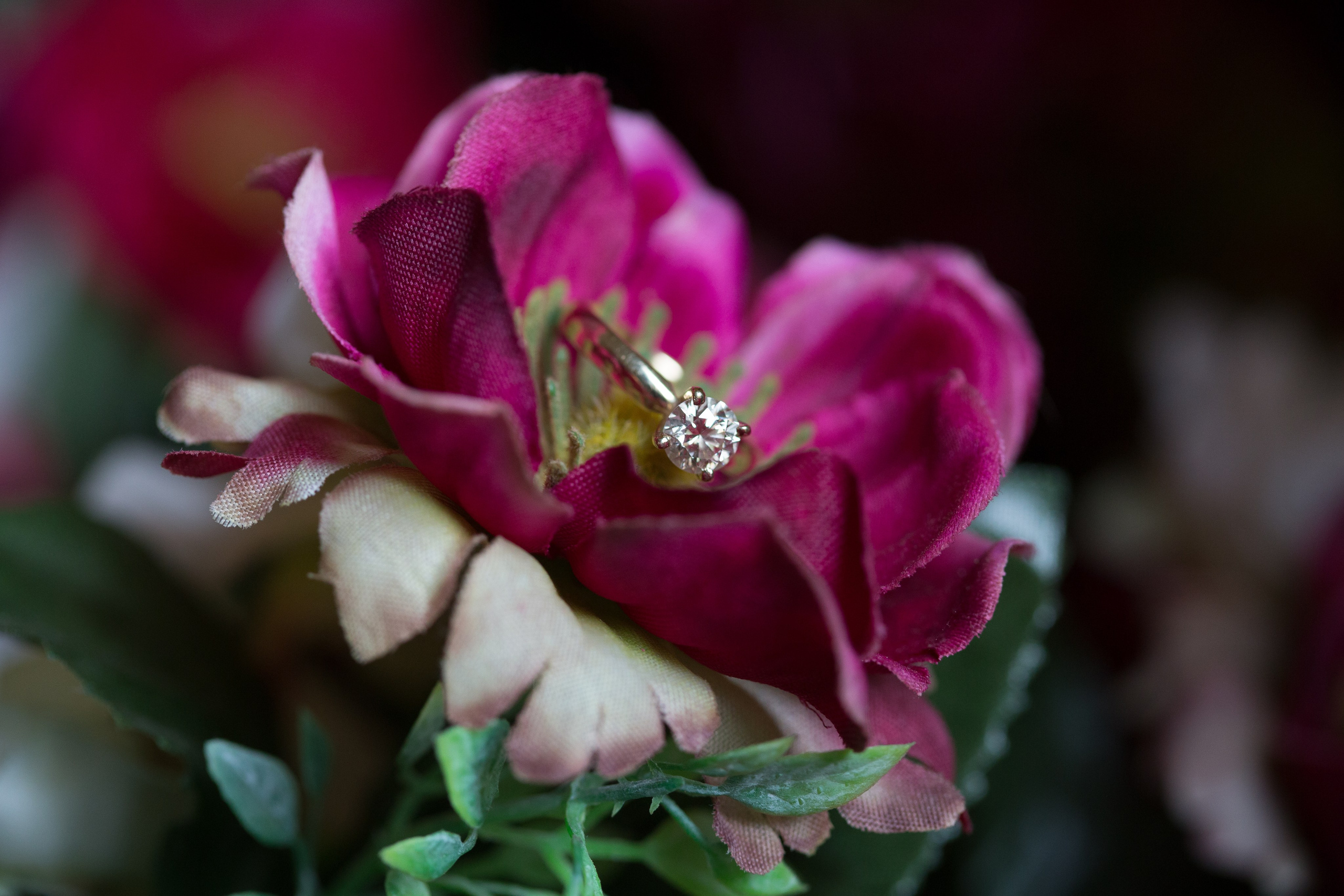 Hedva & Avi. Wedding and events photographers Studio Shalom