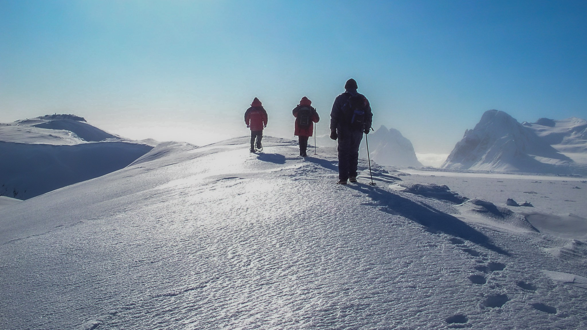 ANTARCTICA / 2004. Reportage concert portrait photography in the San Francisco Bay Area