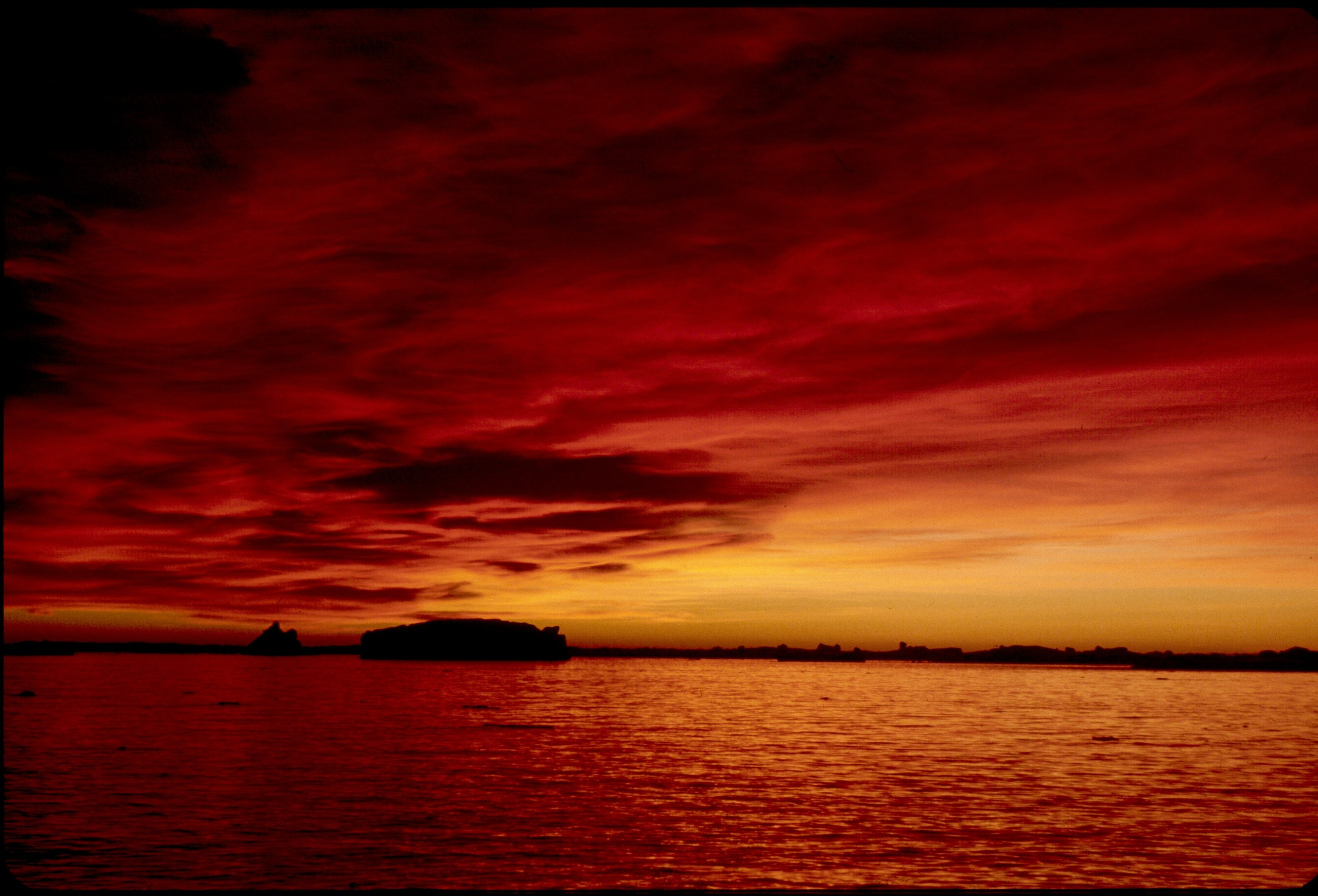 ANTARCTICA. Reportage concert portrait photography in the San Francisco Bay Area