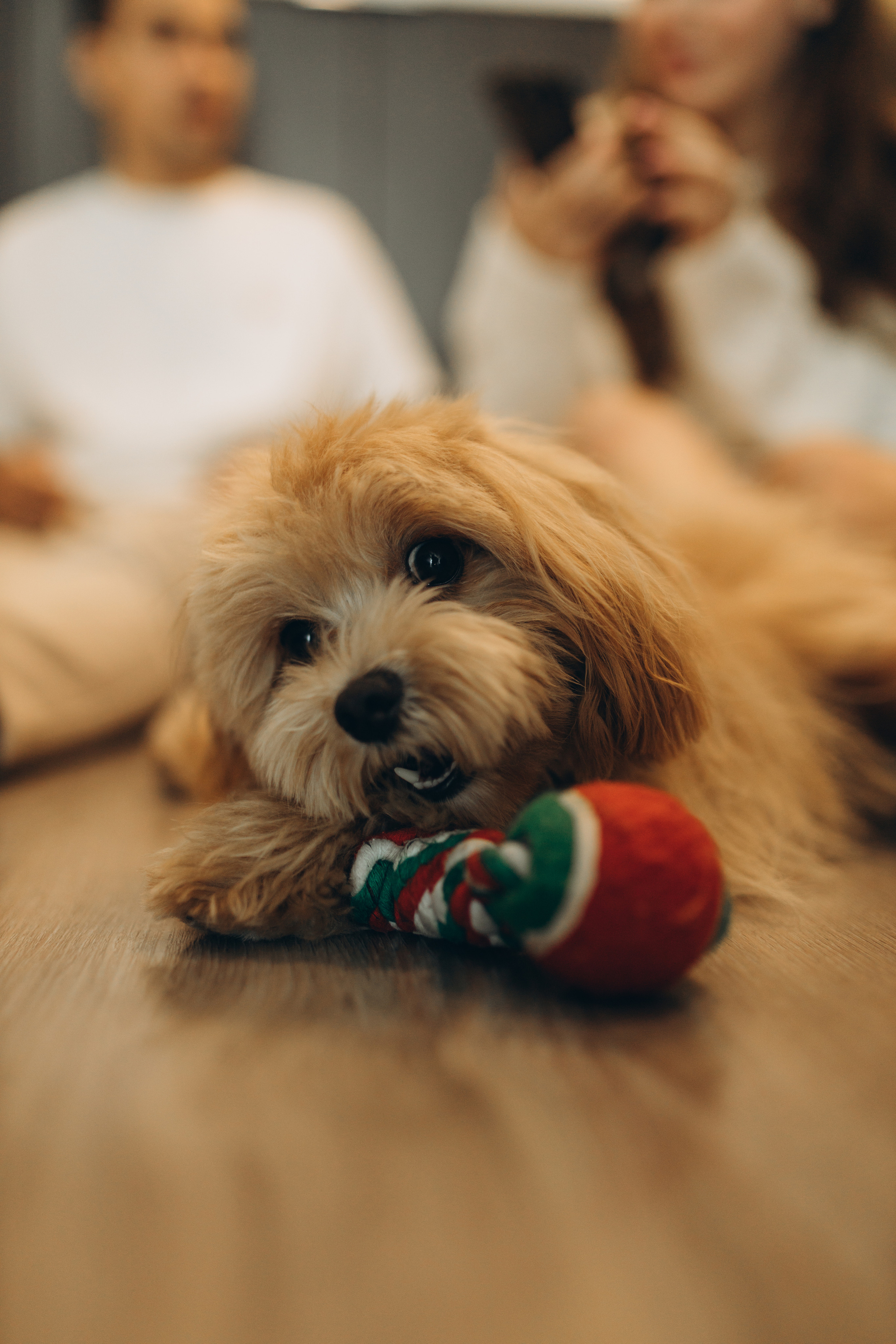 Jose & Anastasiia. Home