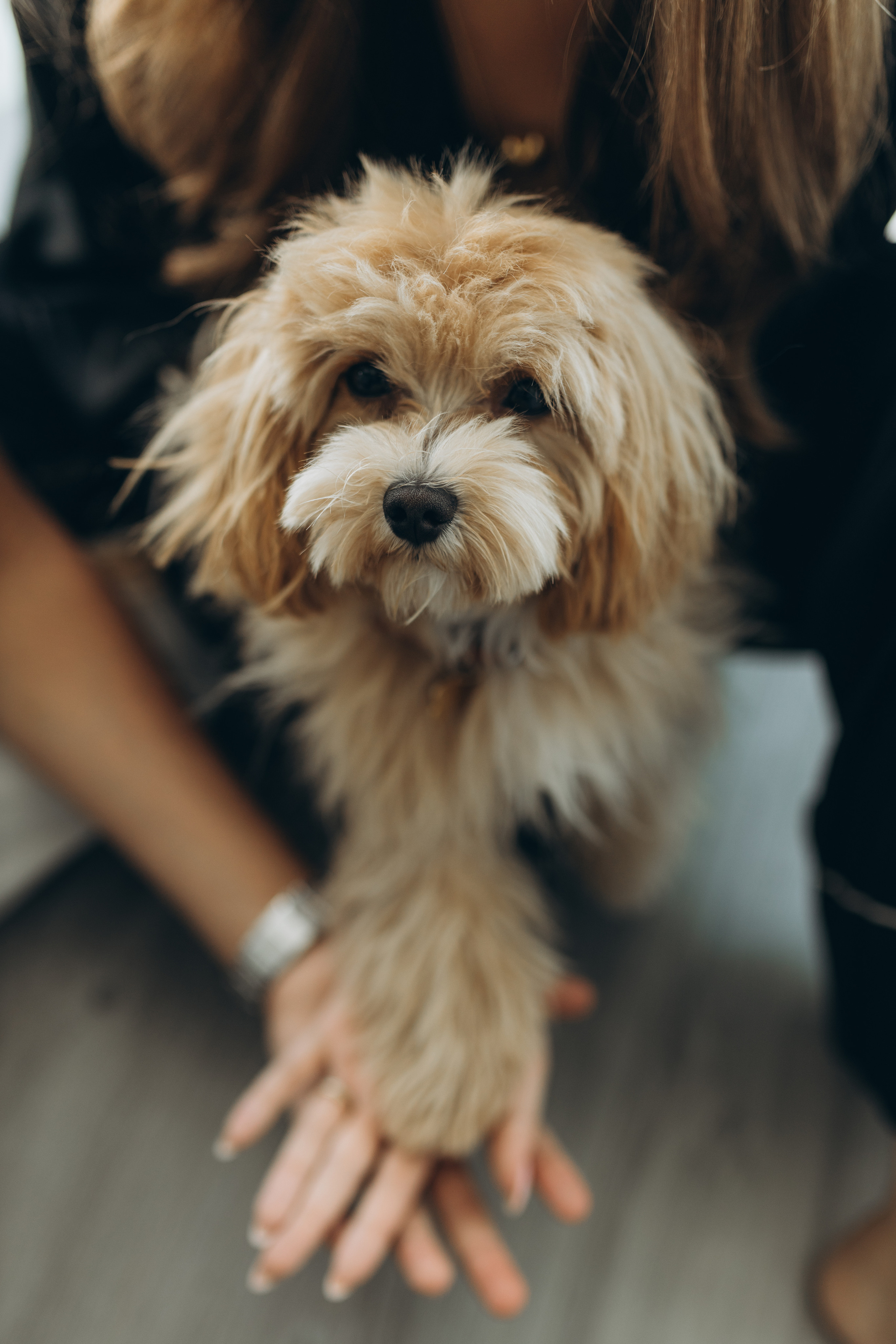 Jose & Anastasiia. Home