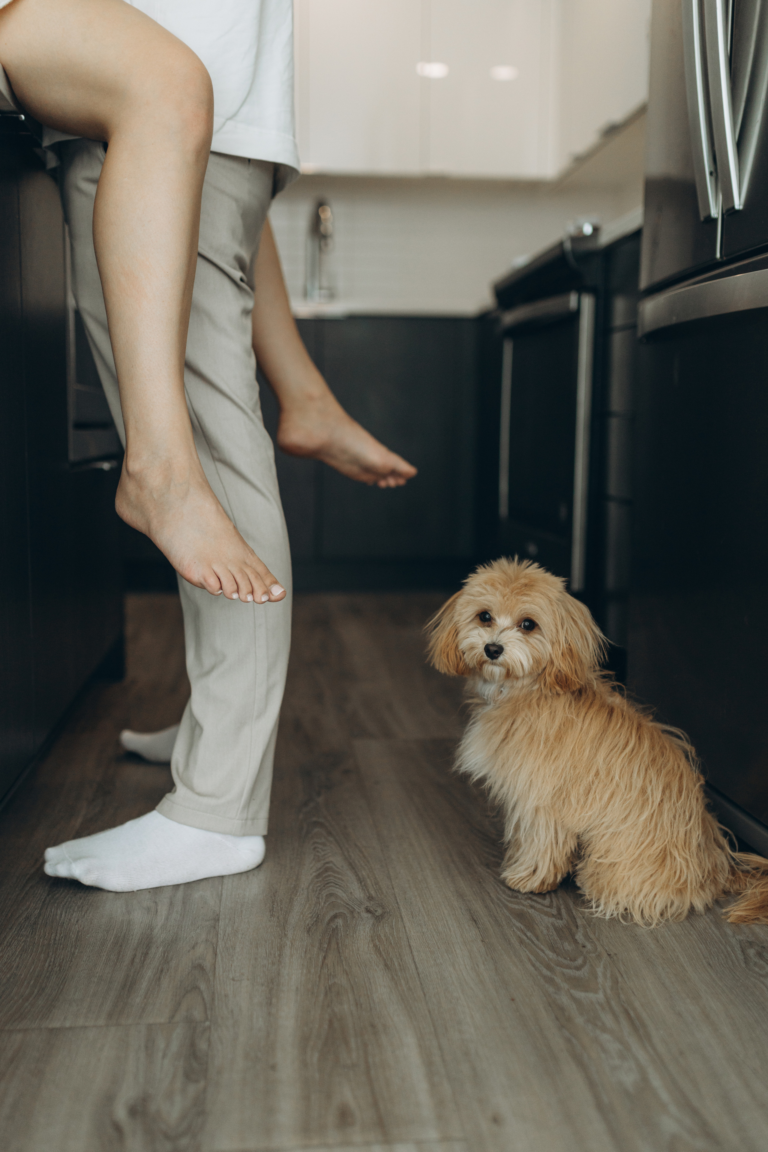 Jose & Anastasiia. Home