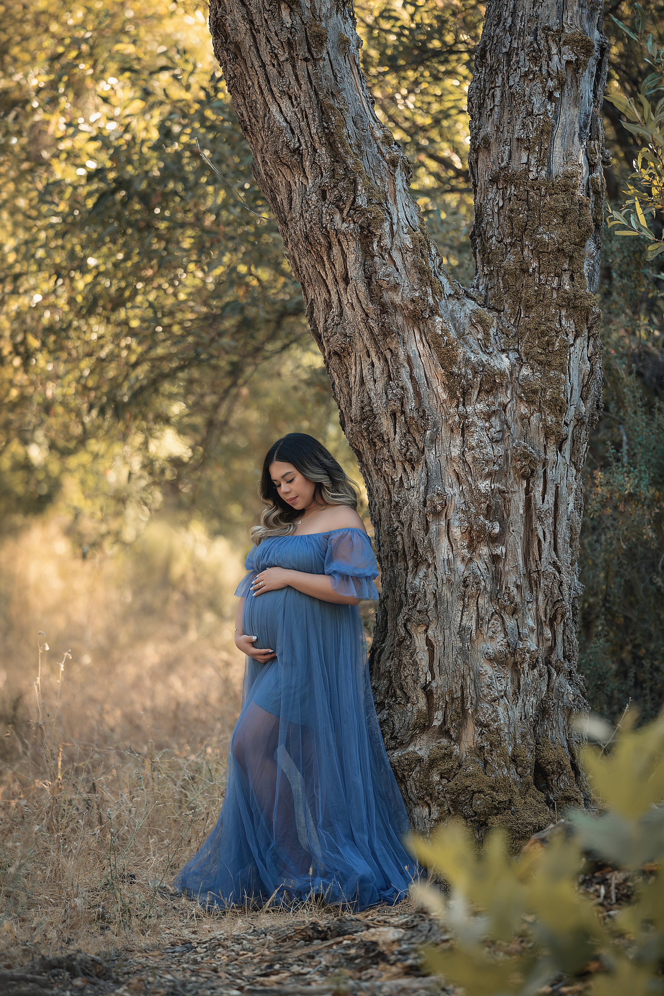 FAMILY & MATERNITY PHOTOGRAPHY. Couples & Families photographer in Bay Area, San Jose, California
