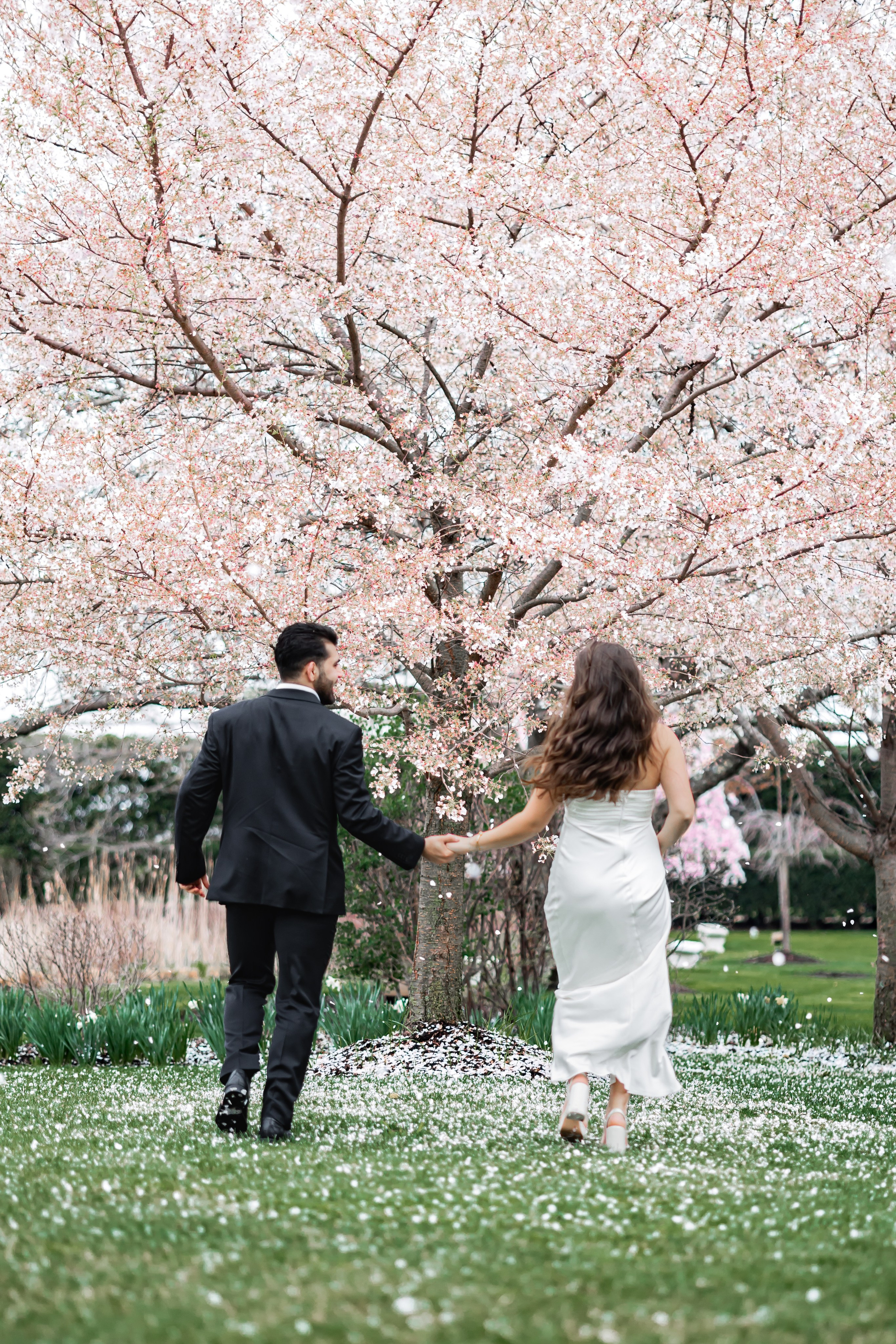 Engagement & Love Story. Wedding Photo & Video