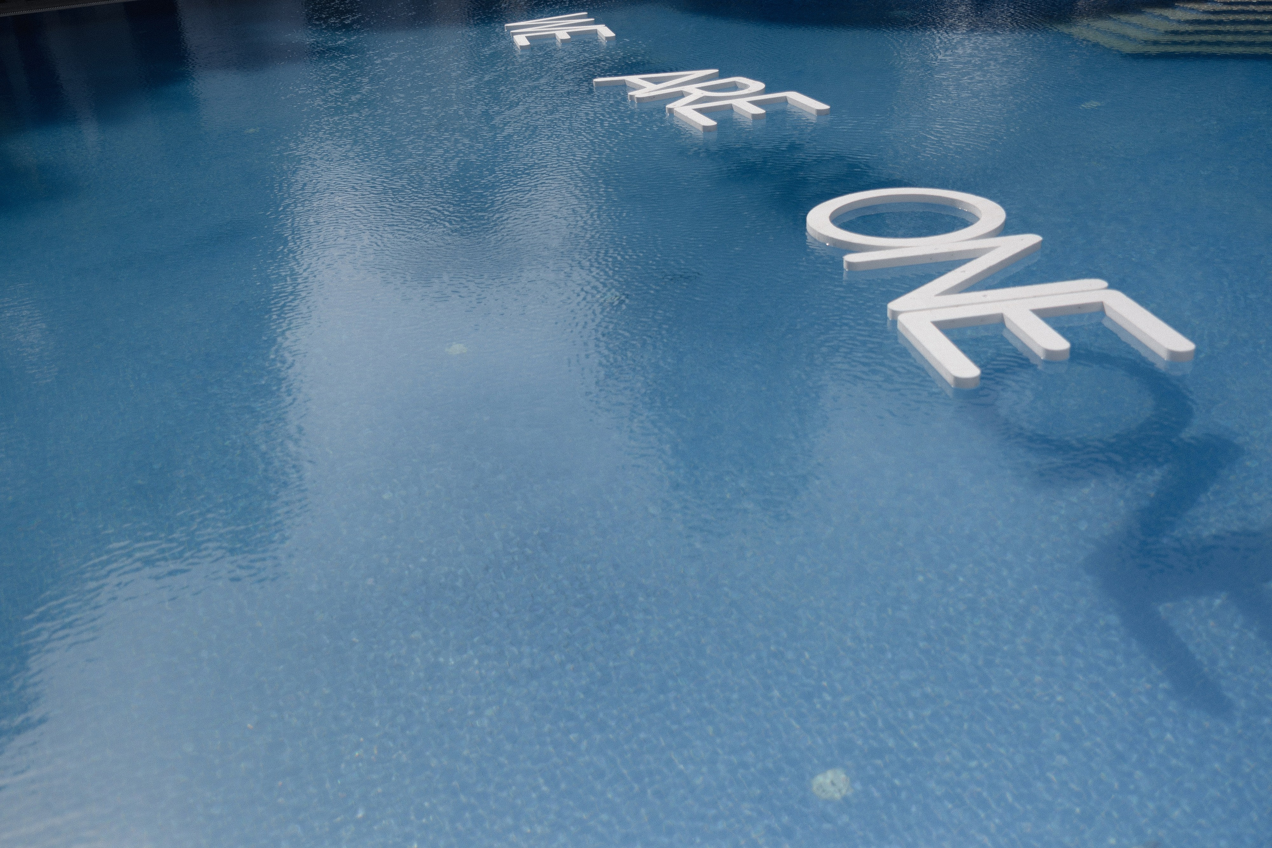 WE ARE ONE. Азимжан Нуритдинходжаев — свадебный фотограф