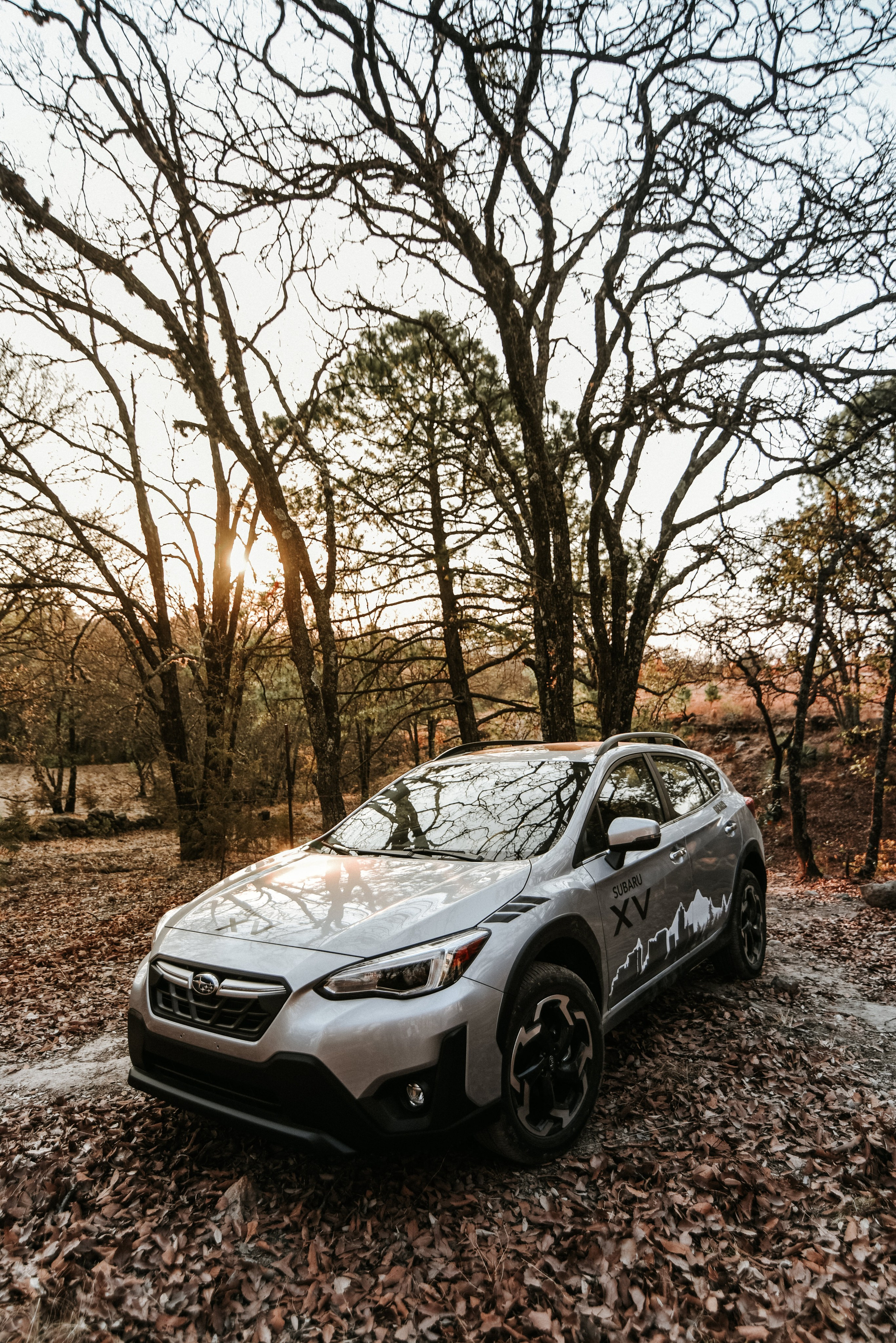 Subaru Autos. Miguelsalasfoto