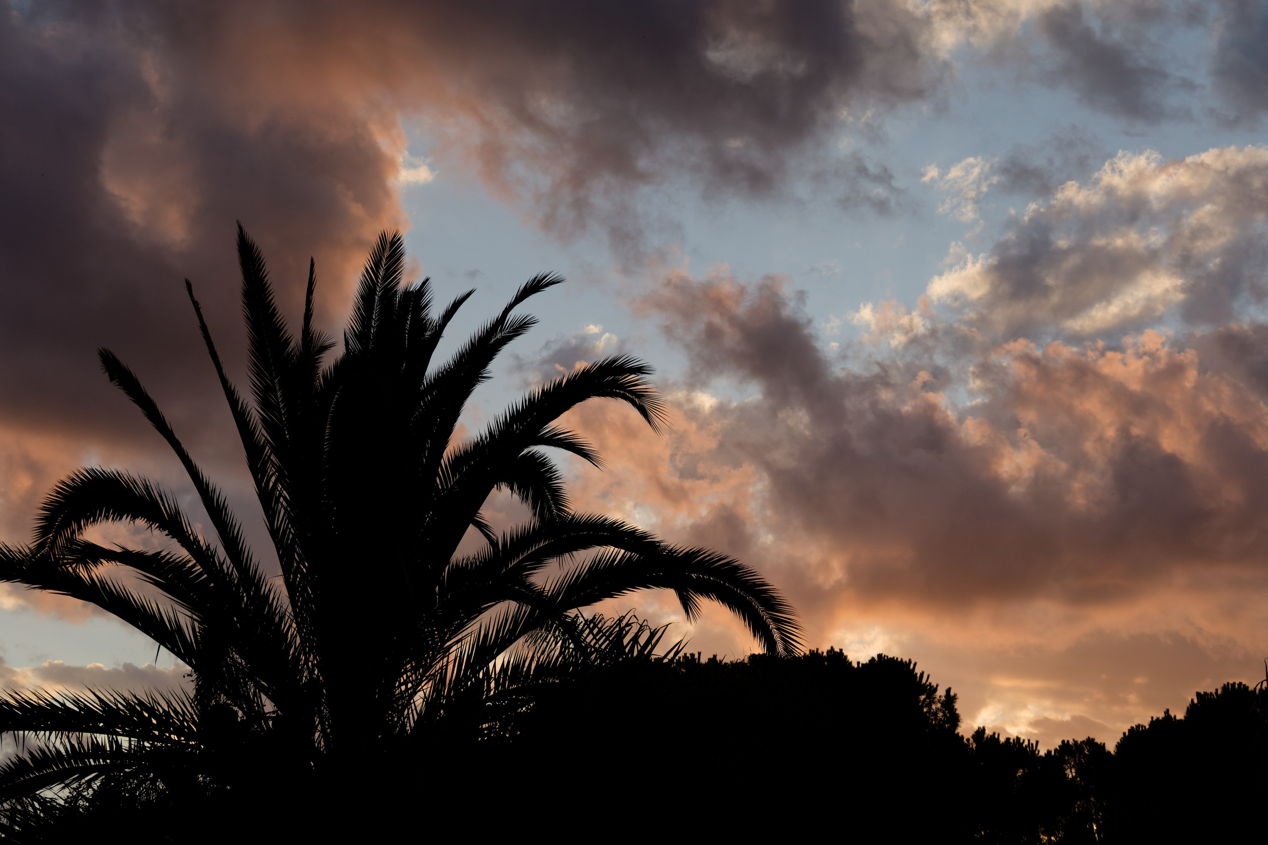 Wedding at Gran Villa Rosa, Barcelona, Spain Preview