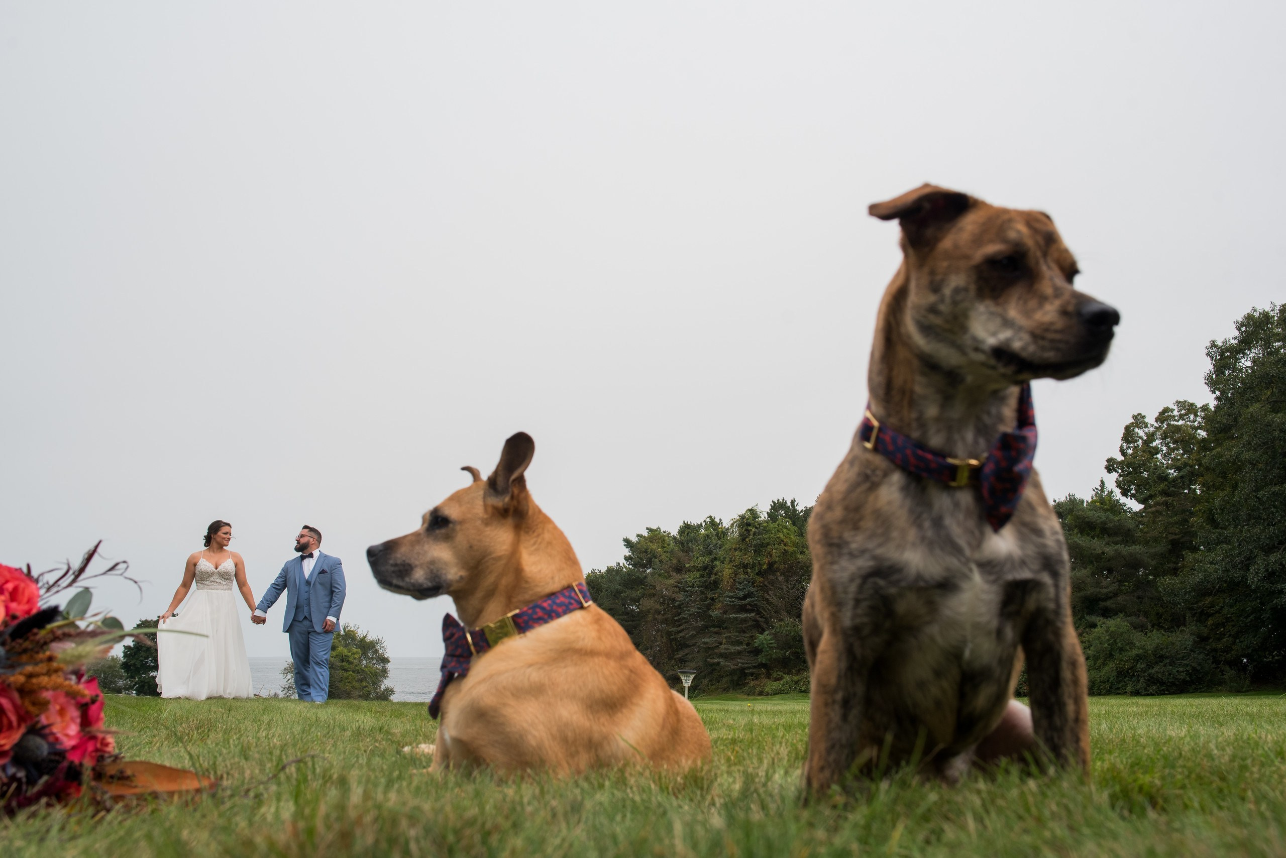 C + A. Wedding photographer in Orlando, Boston & New York Anderson Marques