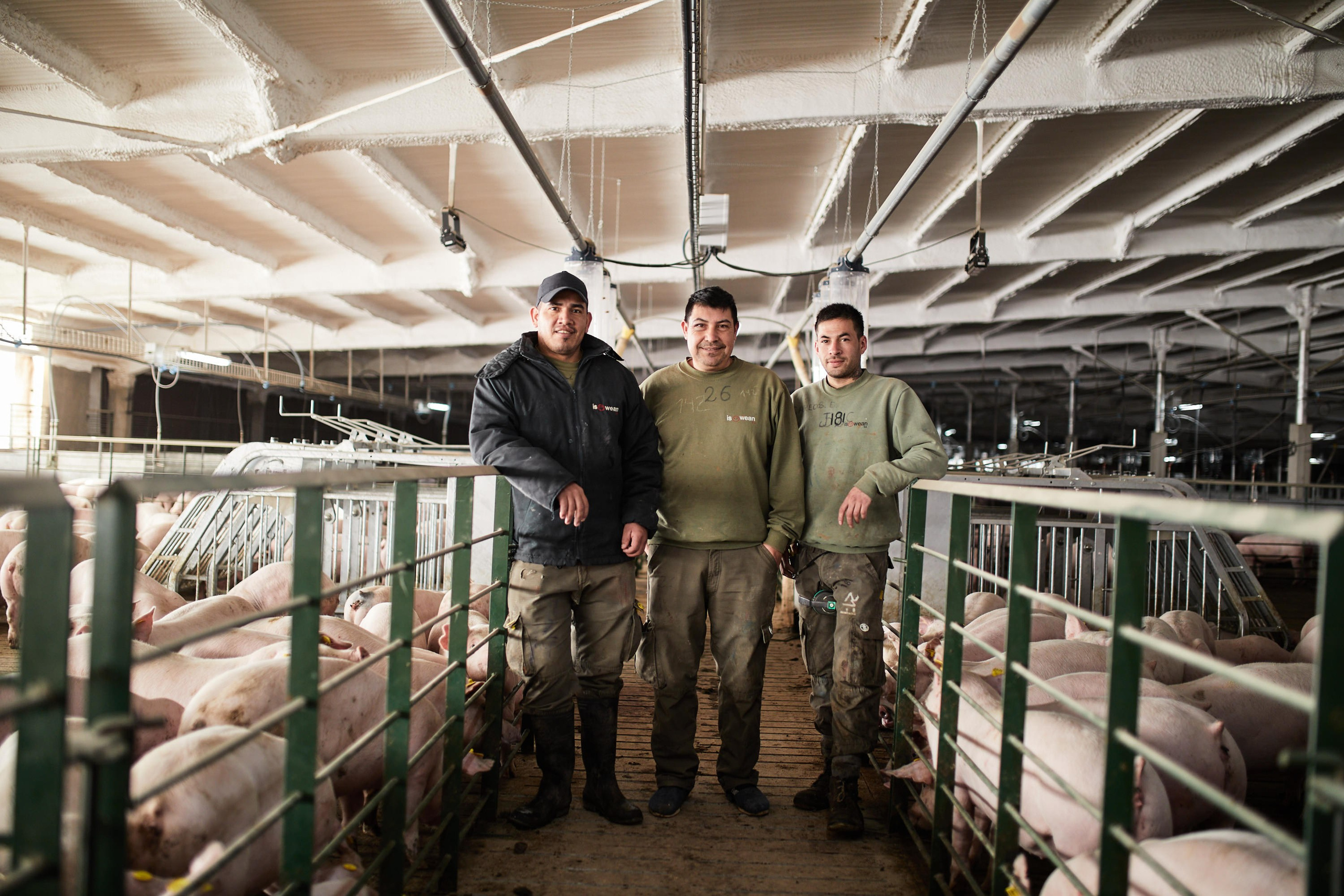 ISOWEAN | Institucional. Marcos Ferrari Fotógrafo