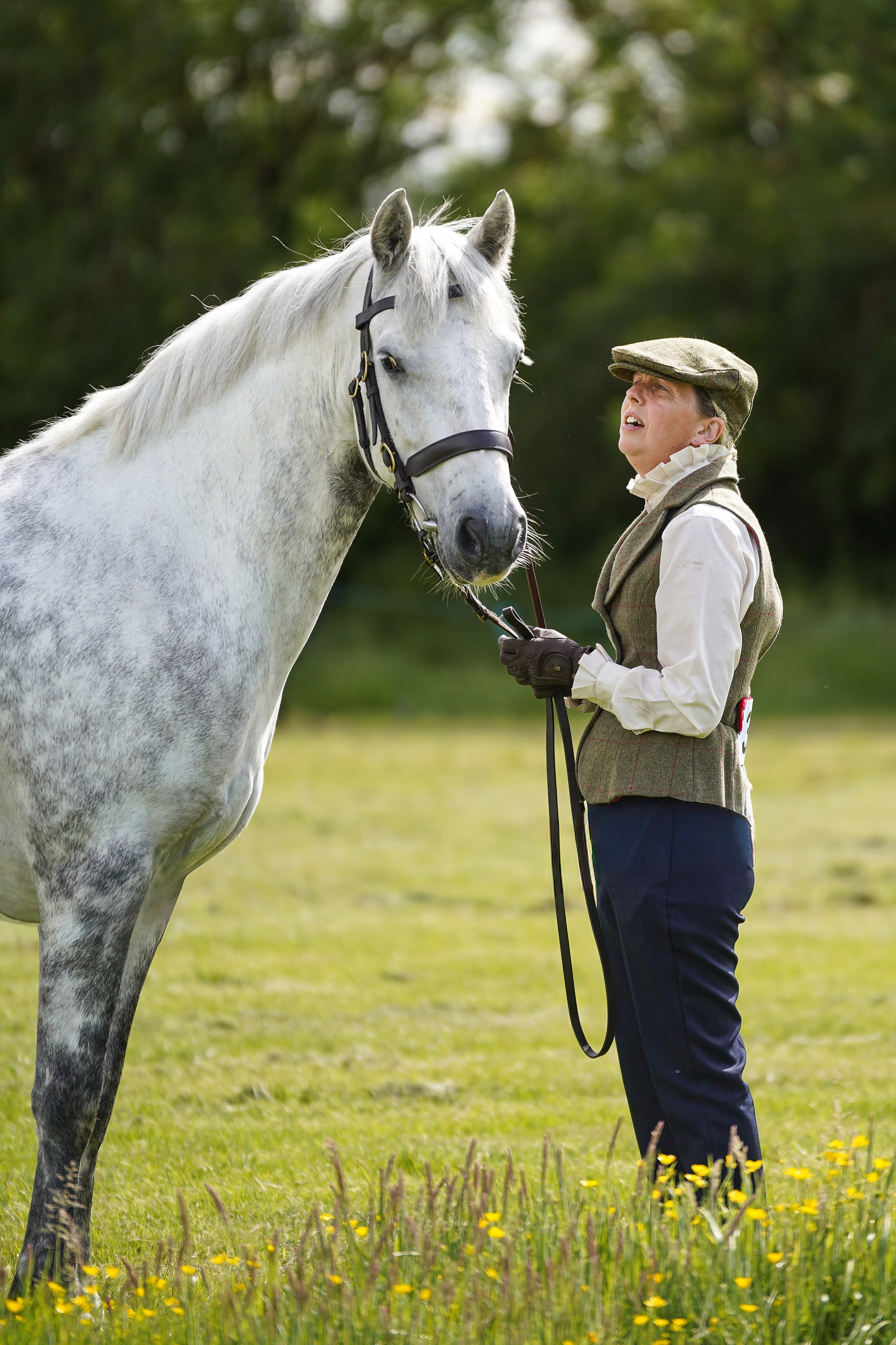 Showing. Leicestershire Equine Photography by El | Authentic Equine Portraits & Events