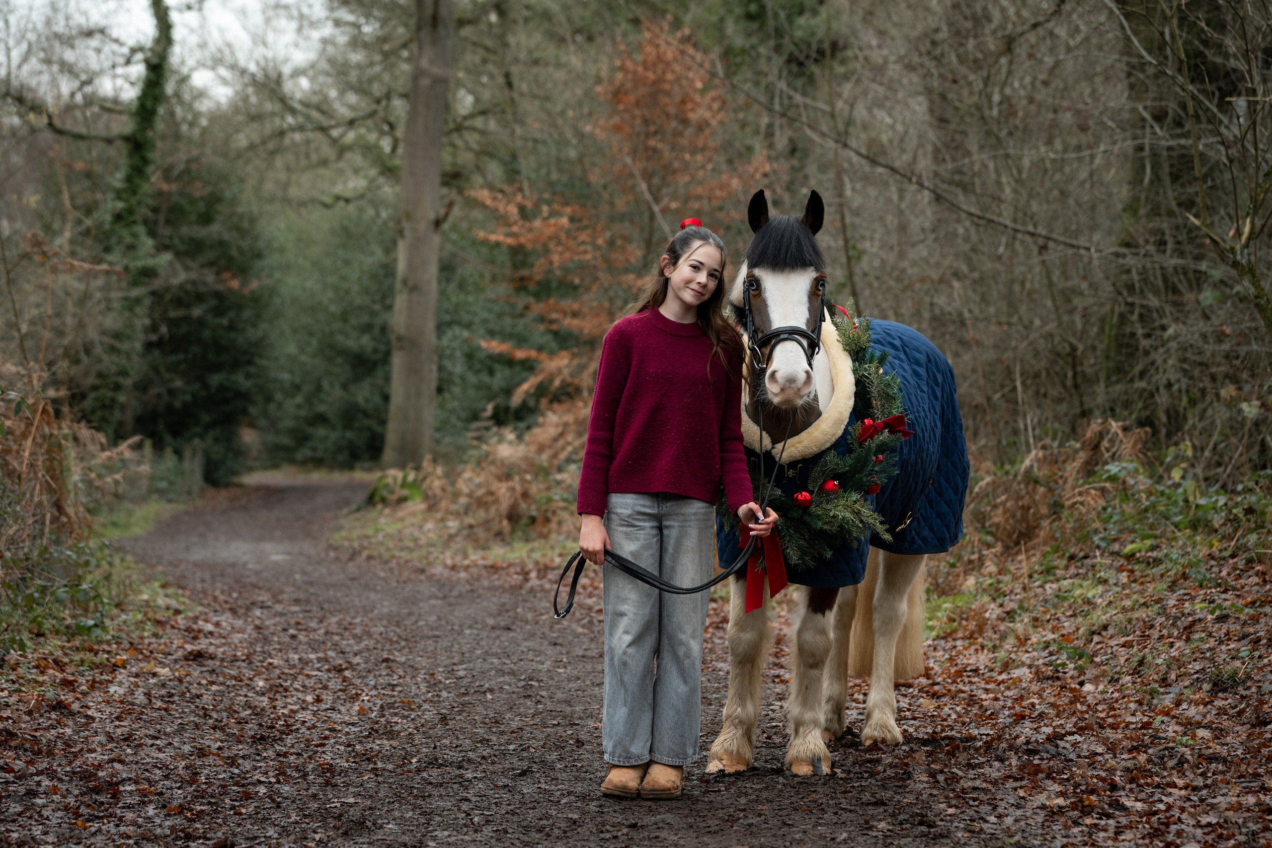Equine Photography Portfolio | Leicestershire Horse Portrait Photographer. Leicestershire Equine Photography by El | Authentic Equine Portraits & Events