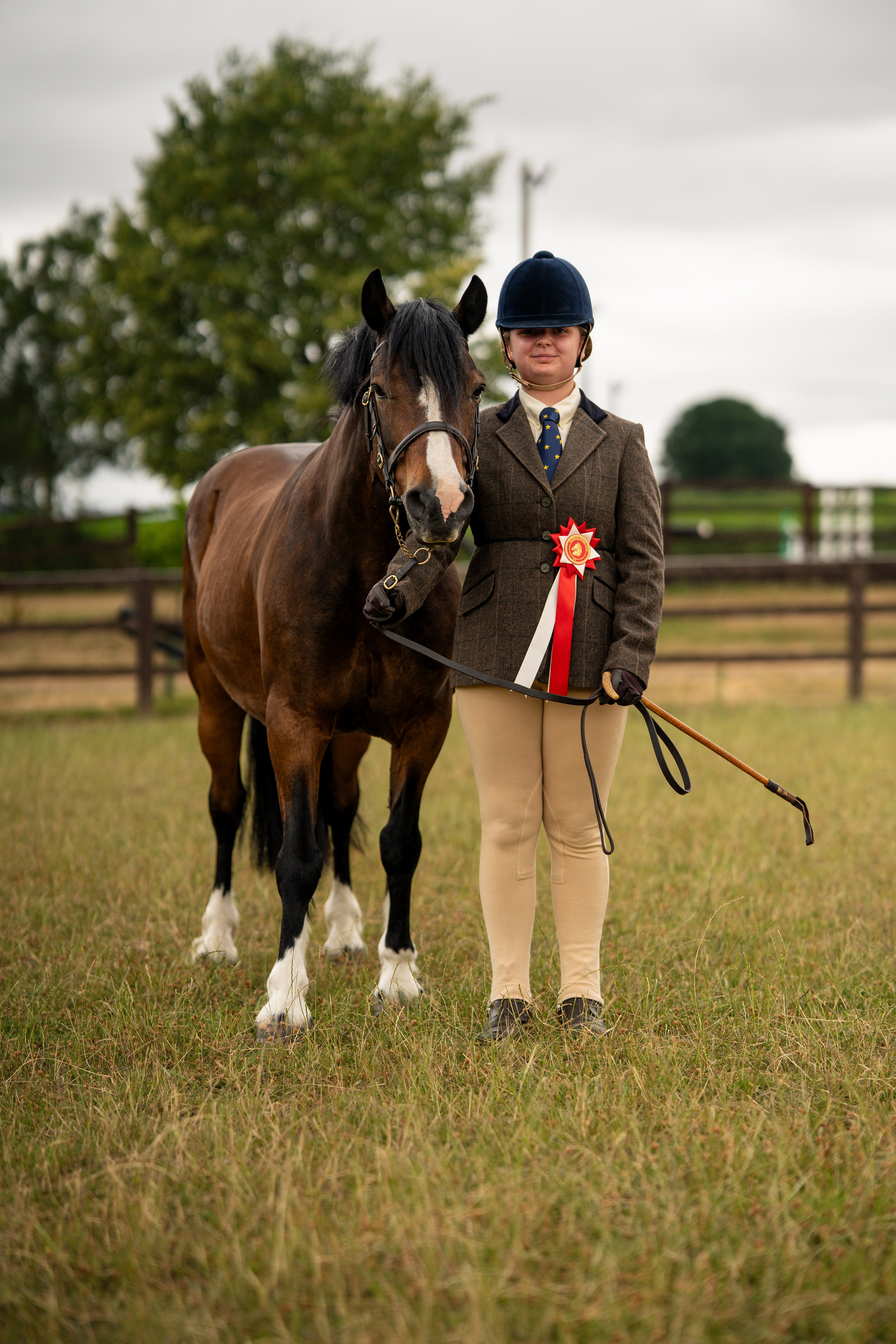 Showing. Leicestershire Equine Photography by El | Authentic Equine Portraits & Events
