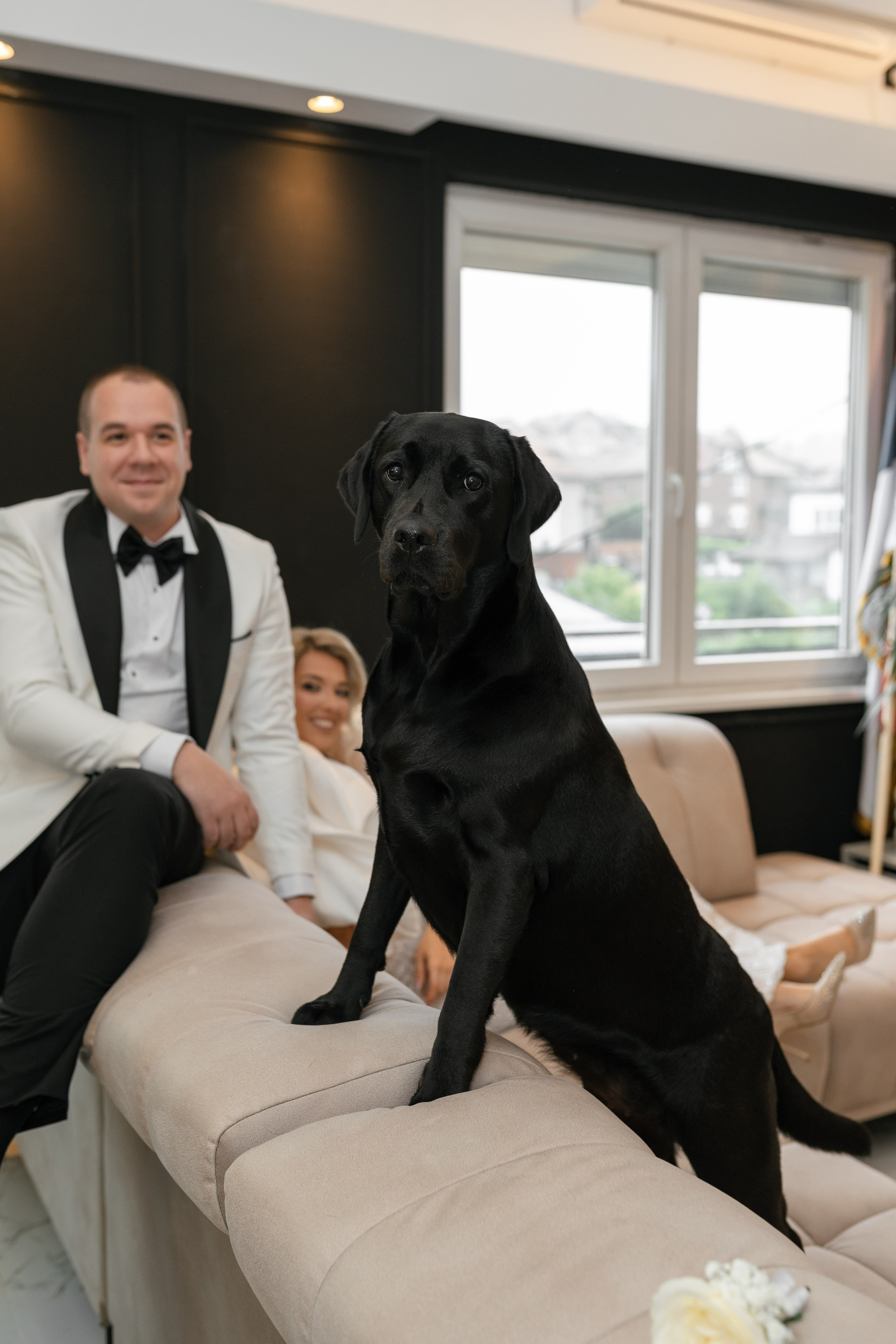 S&J | Timeless Frames at Hotel Moskva. Black Sheep Produkcija| Wedding Photography and Wedding Films, based in Kragujevac, Europe / Fotograf i videograf, Kragujevac, Srbija