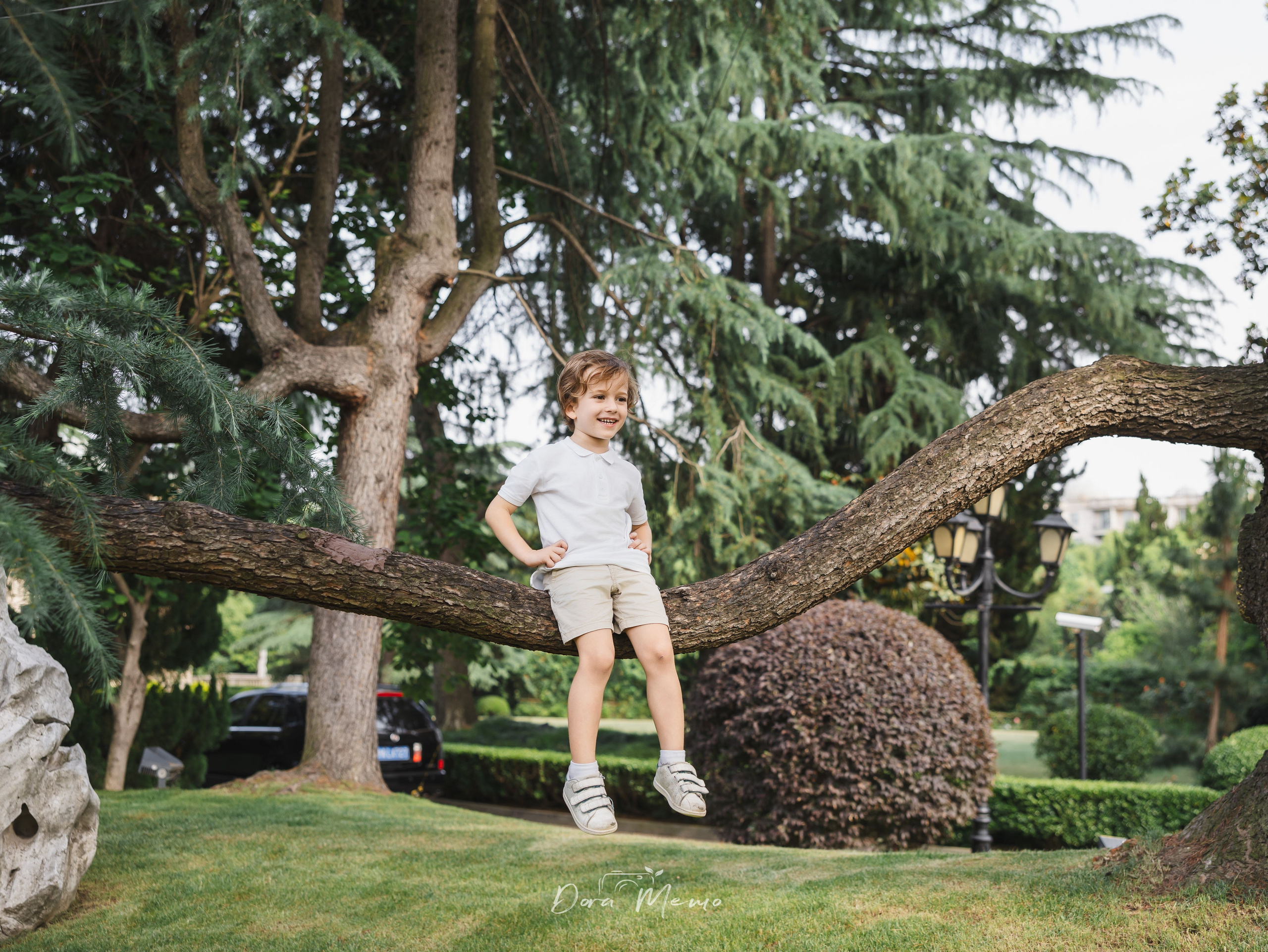 Boy sitting on a tree branch, grinning | A young boy sitting on a tree branch with a huge smile, summer joy 