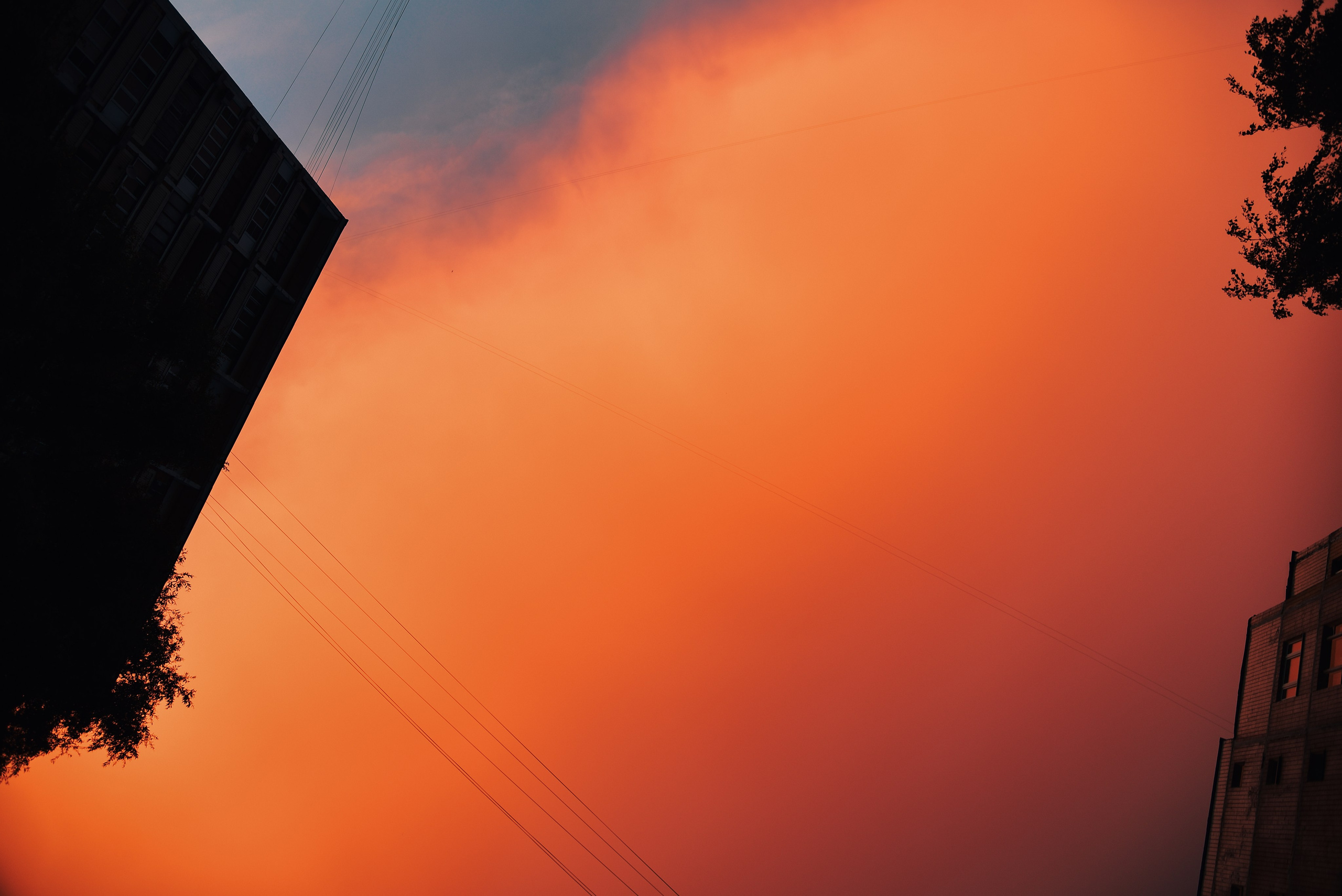 Family, couple and portrait photographer in Gold Coast