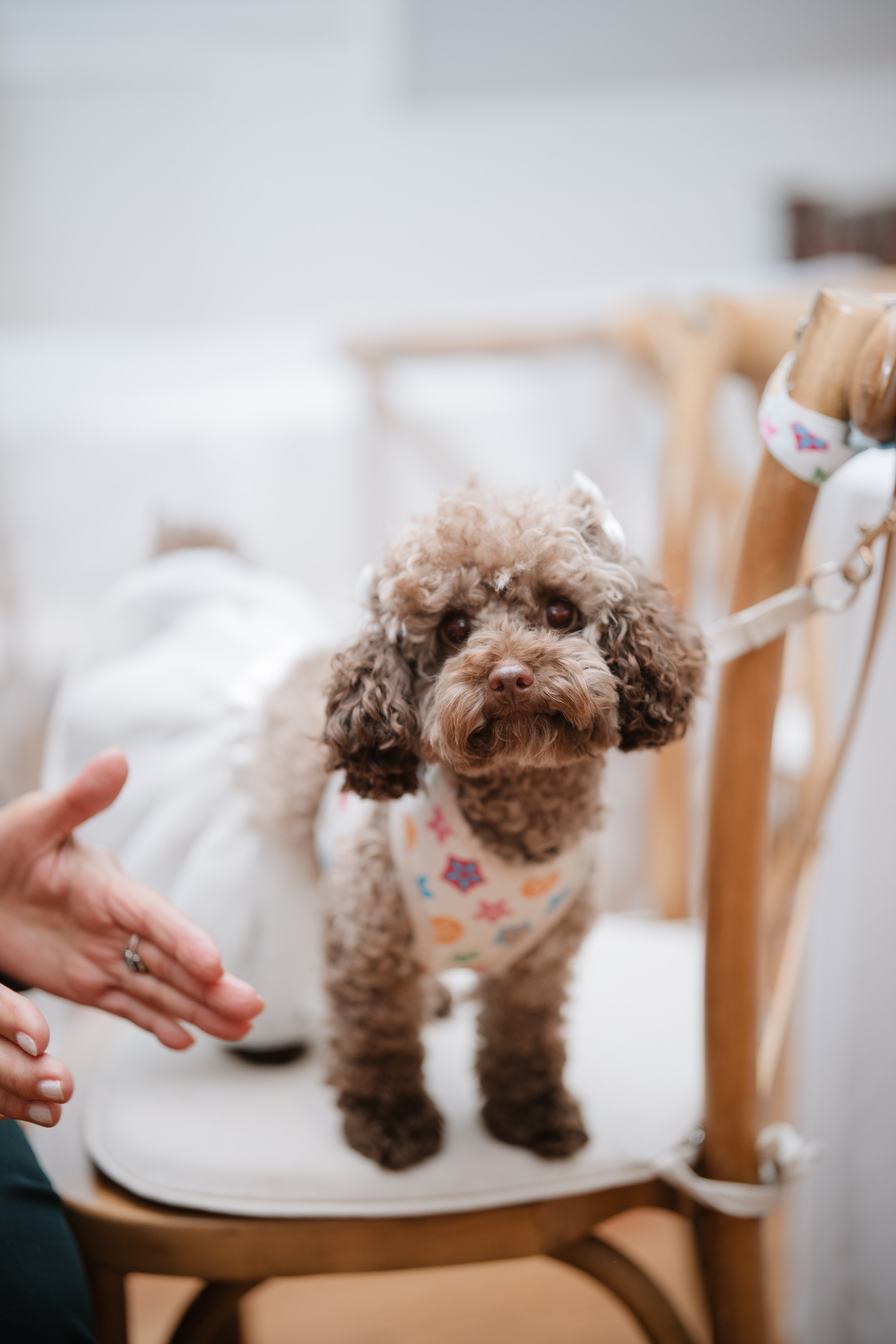 Oct 2025 — Priscilla and Keith’s wedding. Portrait and wedding photographer in New York