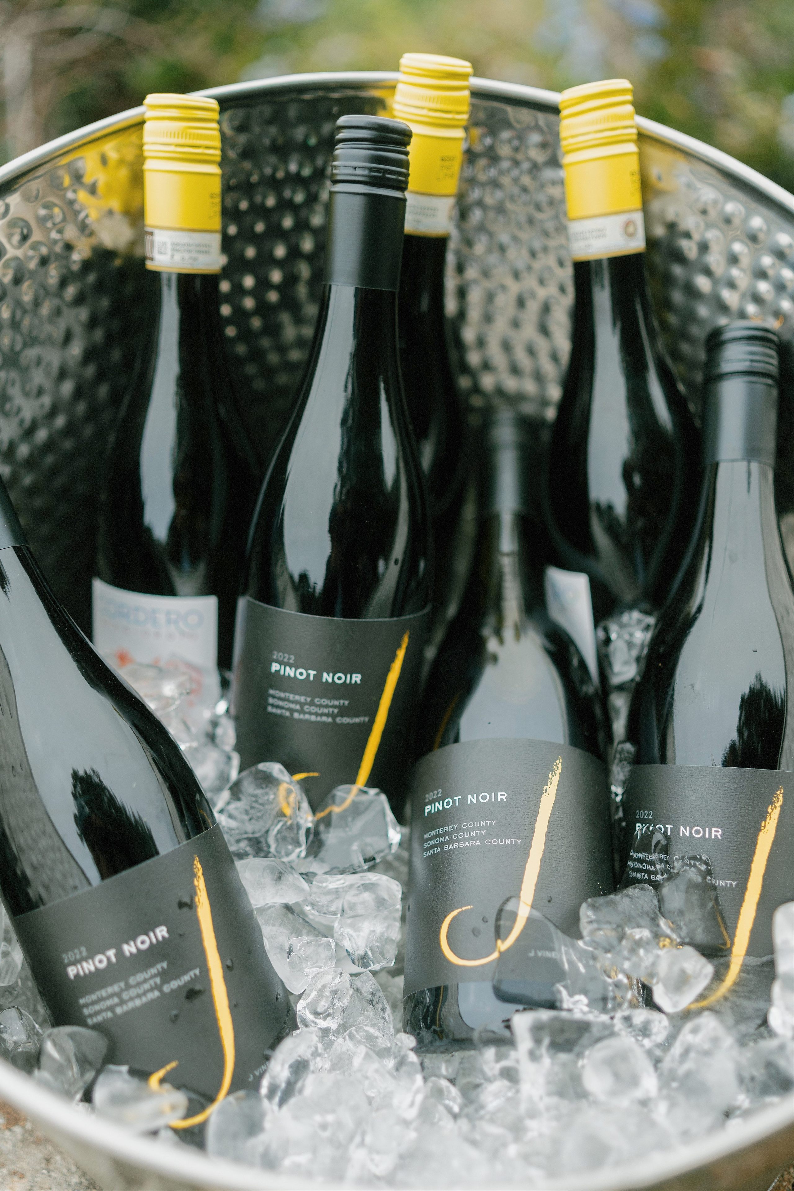 Wedding photographer Big Sur. Wedding Photography & Videography Team in California, Los Angeles, San Francisco, San Diego and Travel