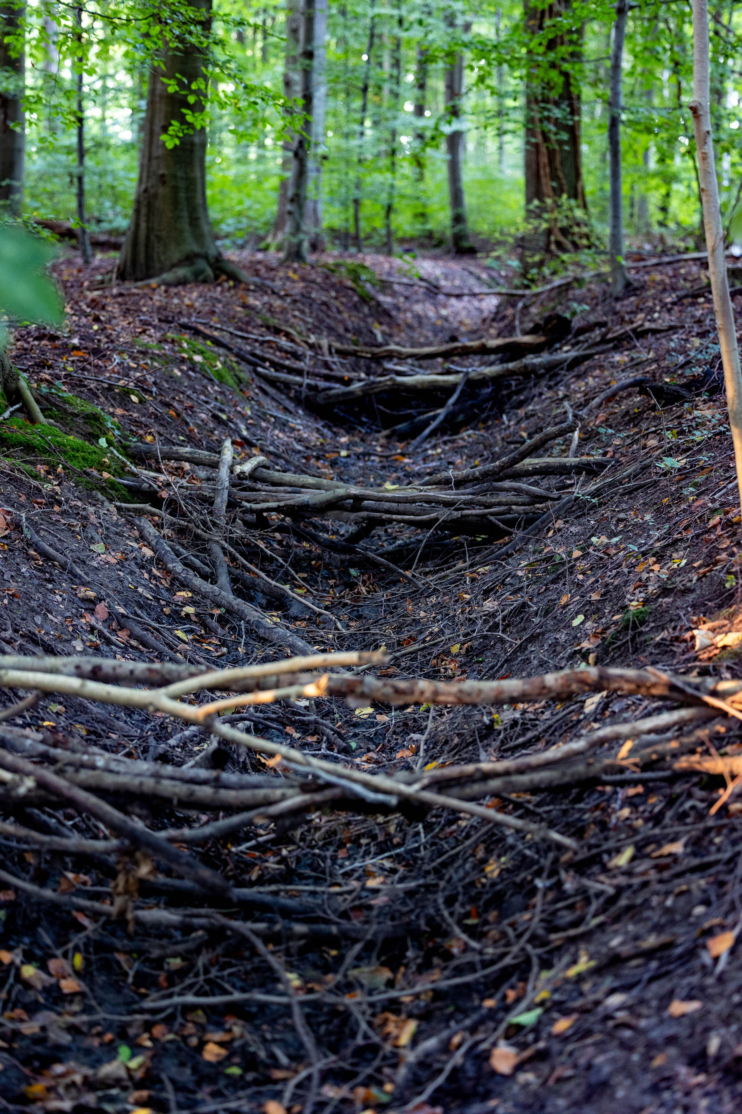 Efterår. Fotograf Aarhus | Portrætfoto Århus | Flotte billeder