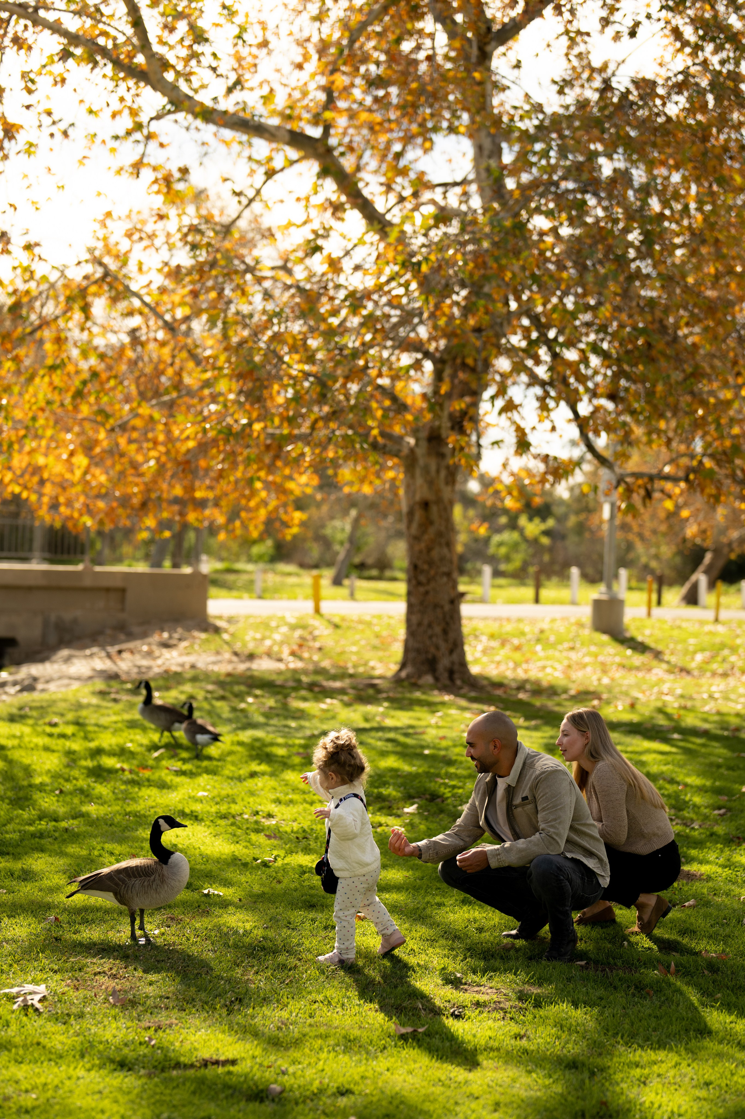 O&K&M. Children’s and family photographer Anna Krasovitskaya
