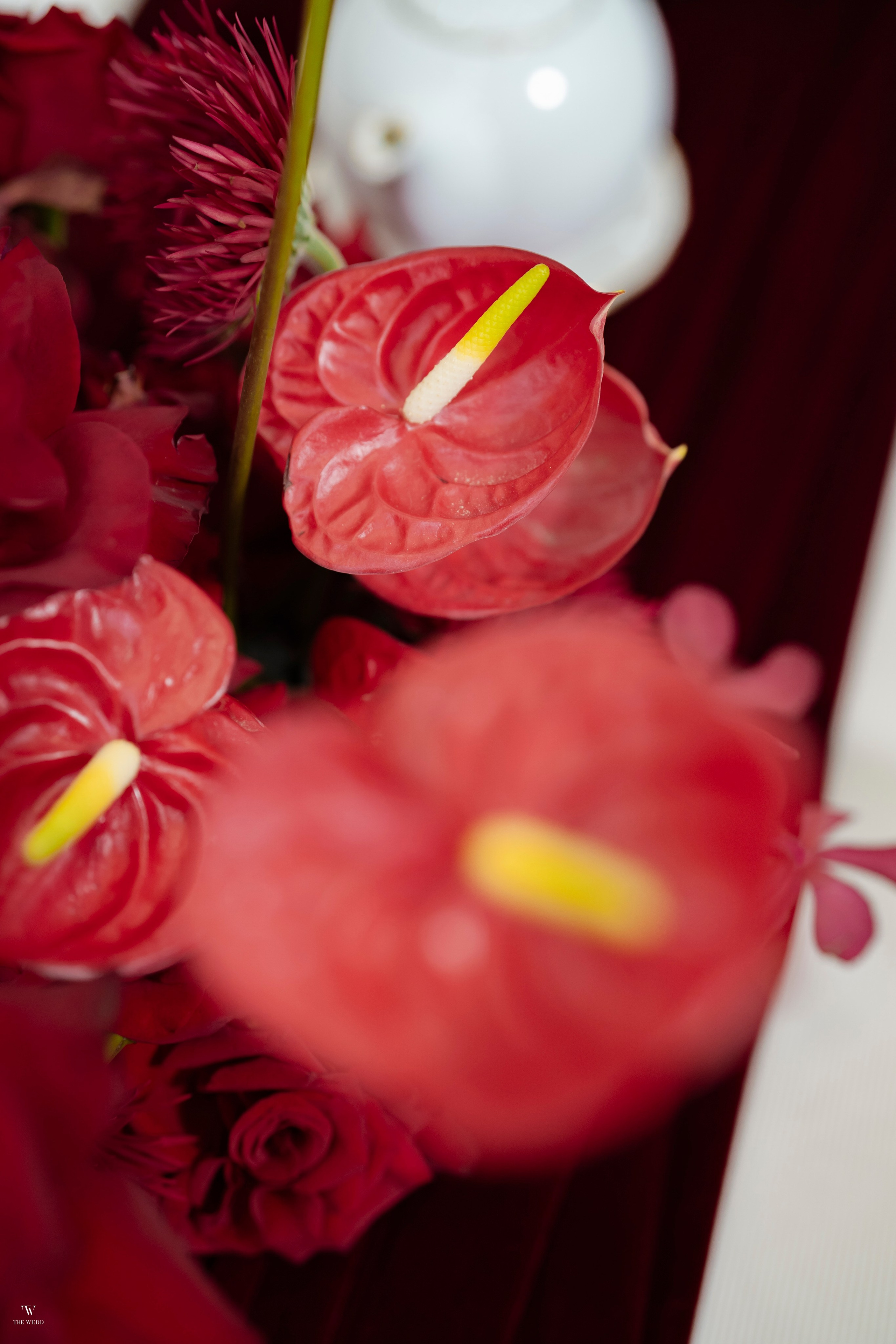 NAM & PHƯỢNG. WEDDING PHOTOGRAPHER IN VIETNAM