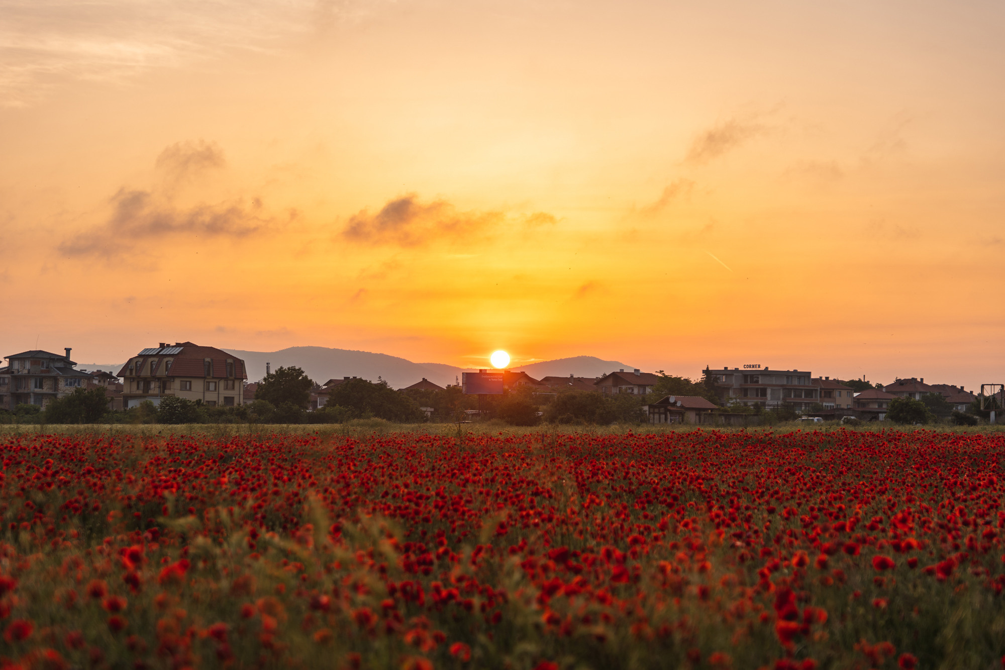 Olga und Roman. Fotograf in Bulgarien Katerina Zubkova