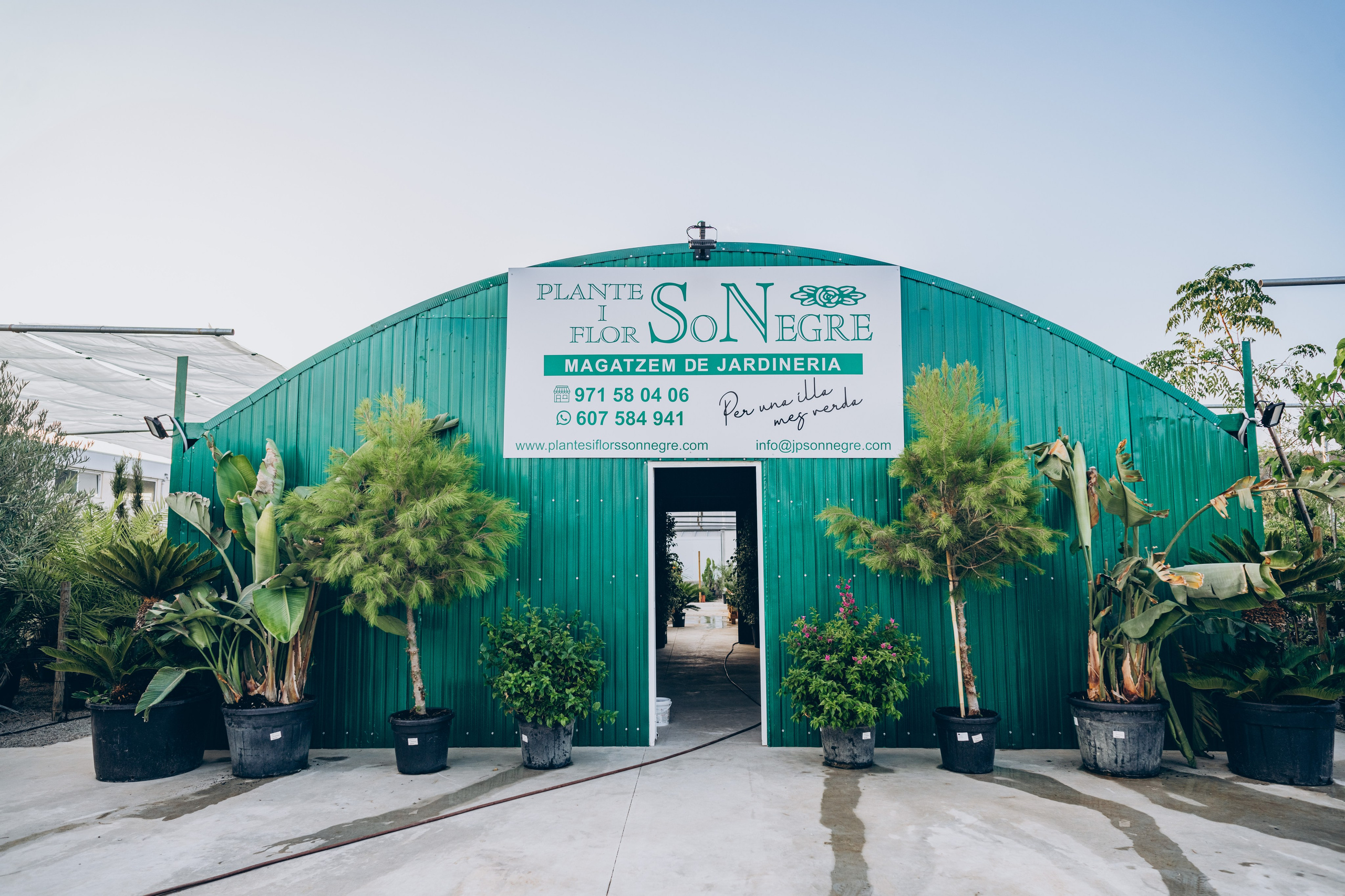 Centro Jardin. Photographer in Mallorca