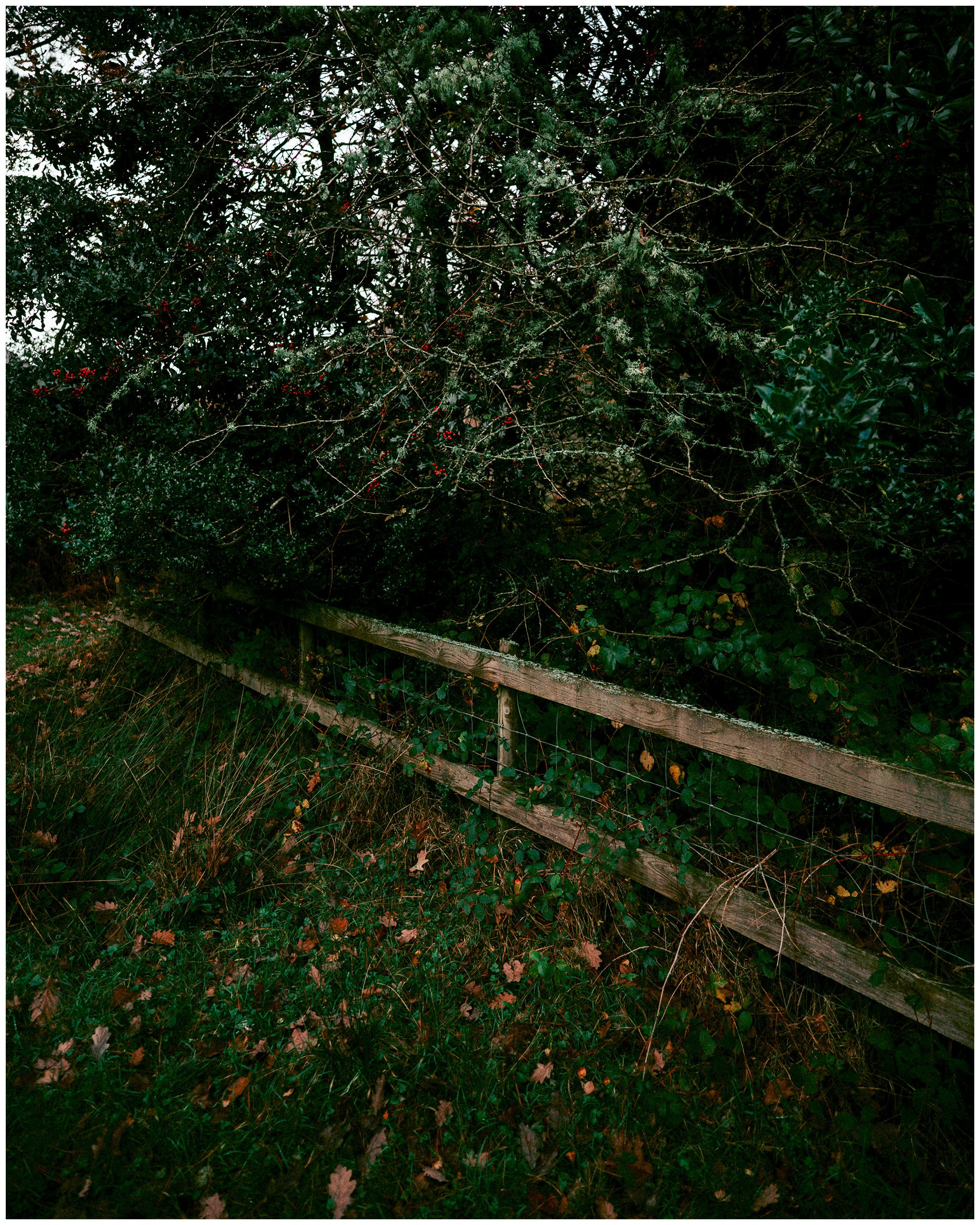 IRELAND. Inna Mendelson — Photographer