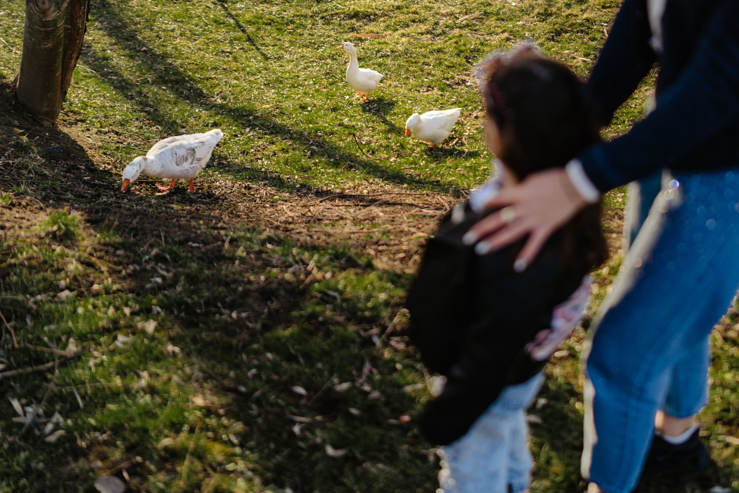Sara’s Family. Foto-Video Nunta Iasi, Suceava, Bucuresti / Disponibilitate 2025 — 2026 — 2027