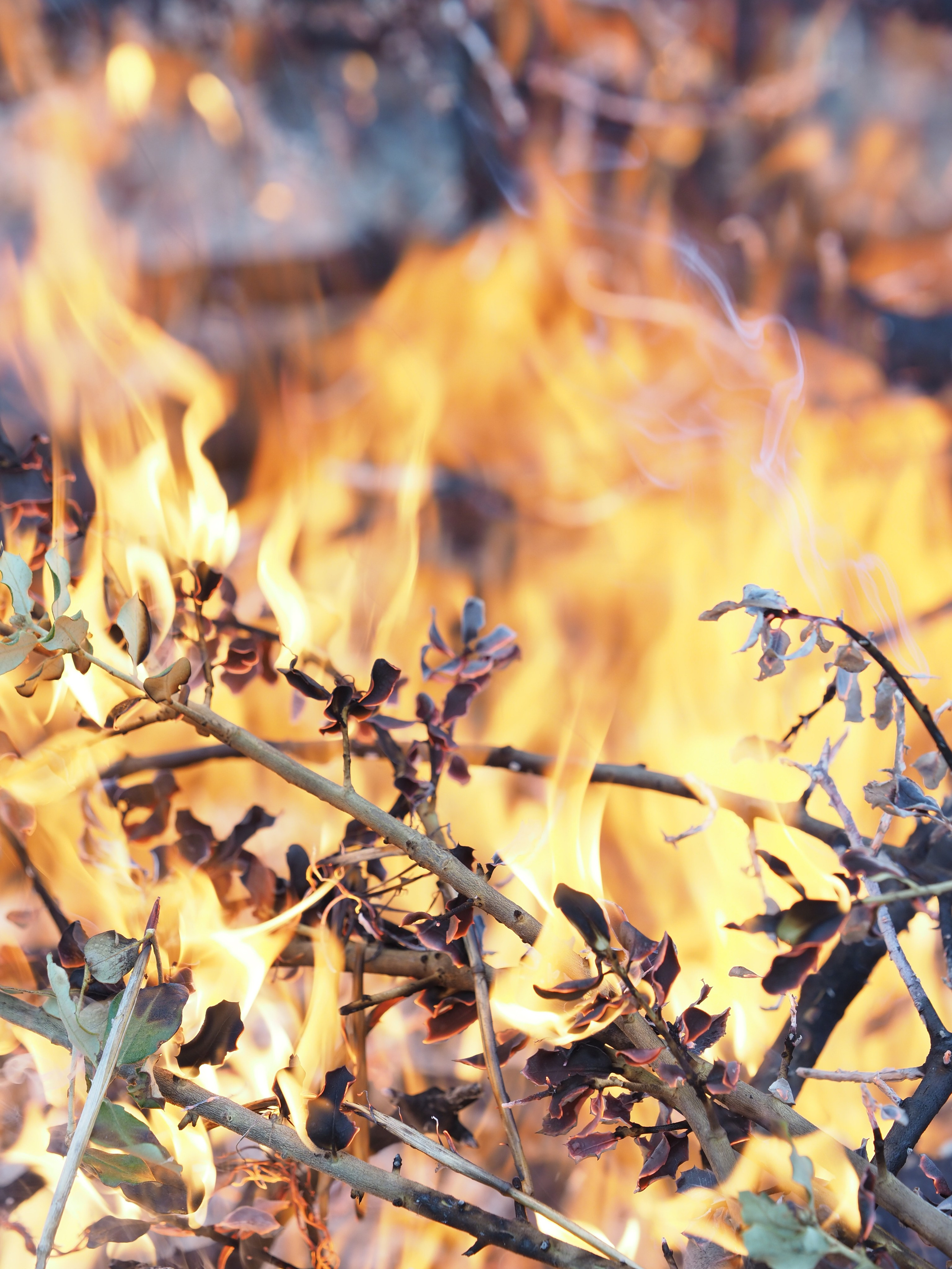 Paisajismo. Fotógrafa de Periodismo y Documentación, Teatro, Cine, Shooting para Modelos, Bodas, Bautizos, Comuniones, Familia y Eventos