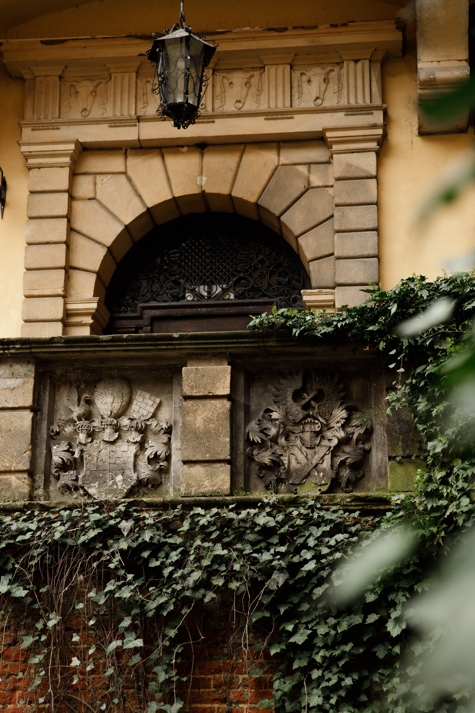 Oleśnica castle. Kaja | fotograf psów we Wrocławiu